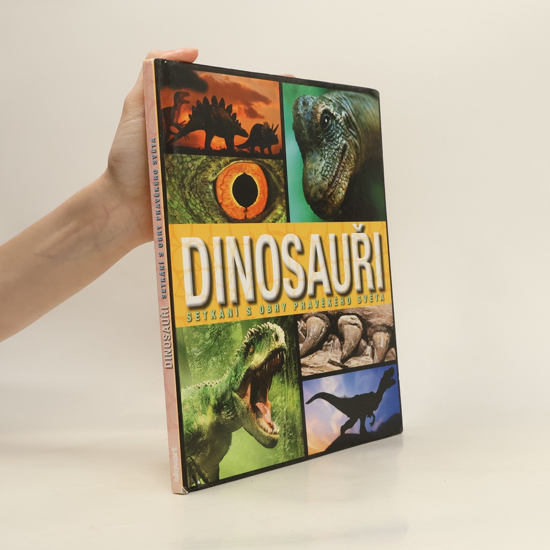 Autorenkollektiv Dinosauři: Setkání s obry pravěkého světa