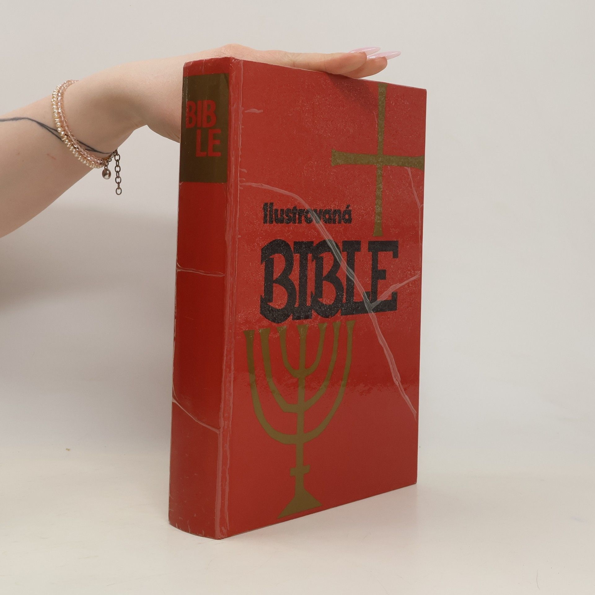 Samuel Terrien Ilustrovaná Bible pro mládež