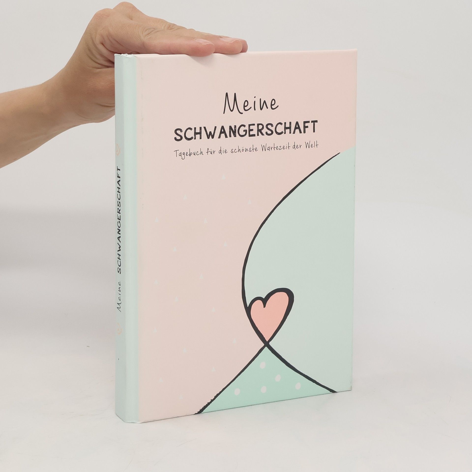 Autorenkollektiv Meine Schwangerschaft