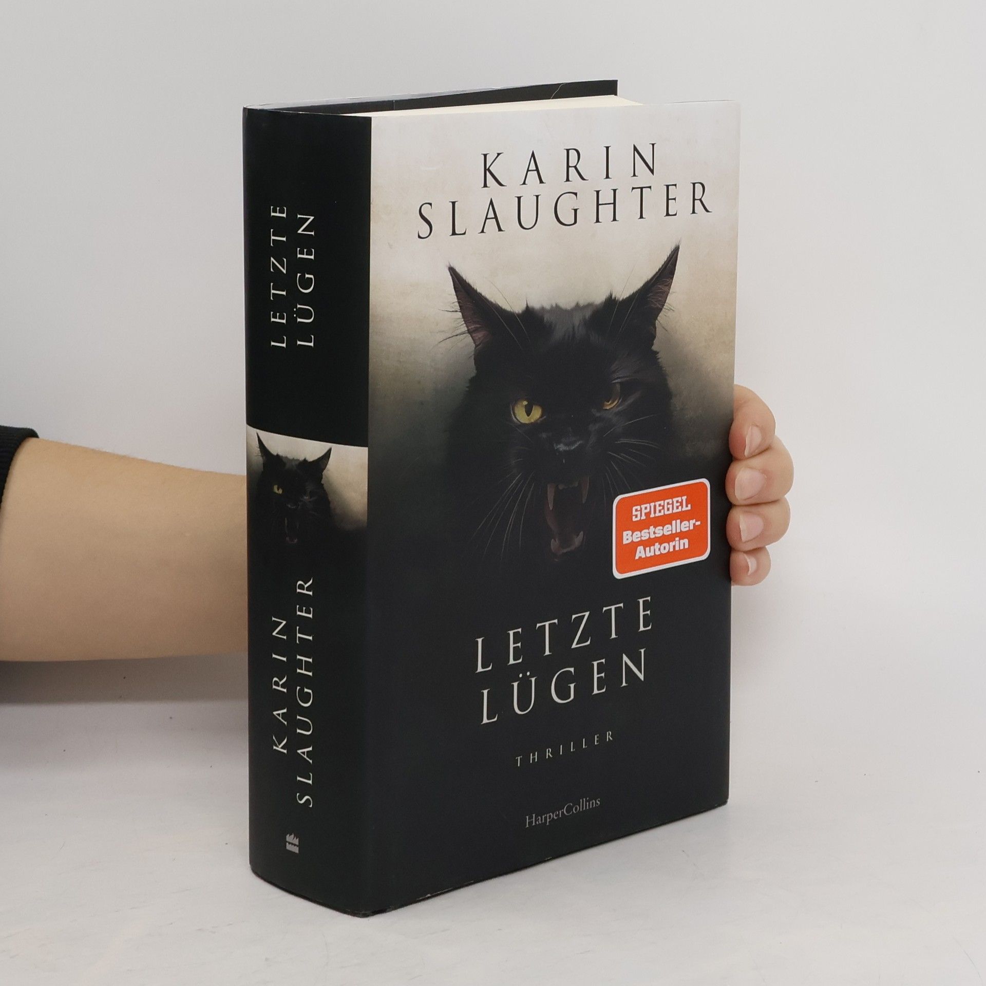 Karin Slaughter Letzte Lügen