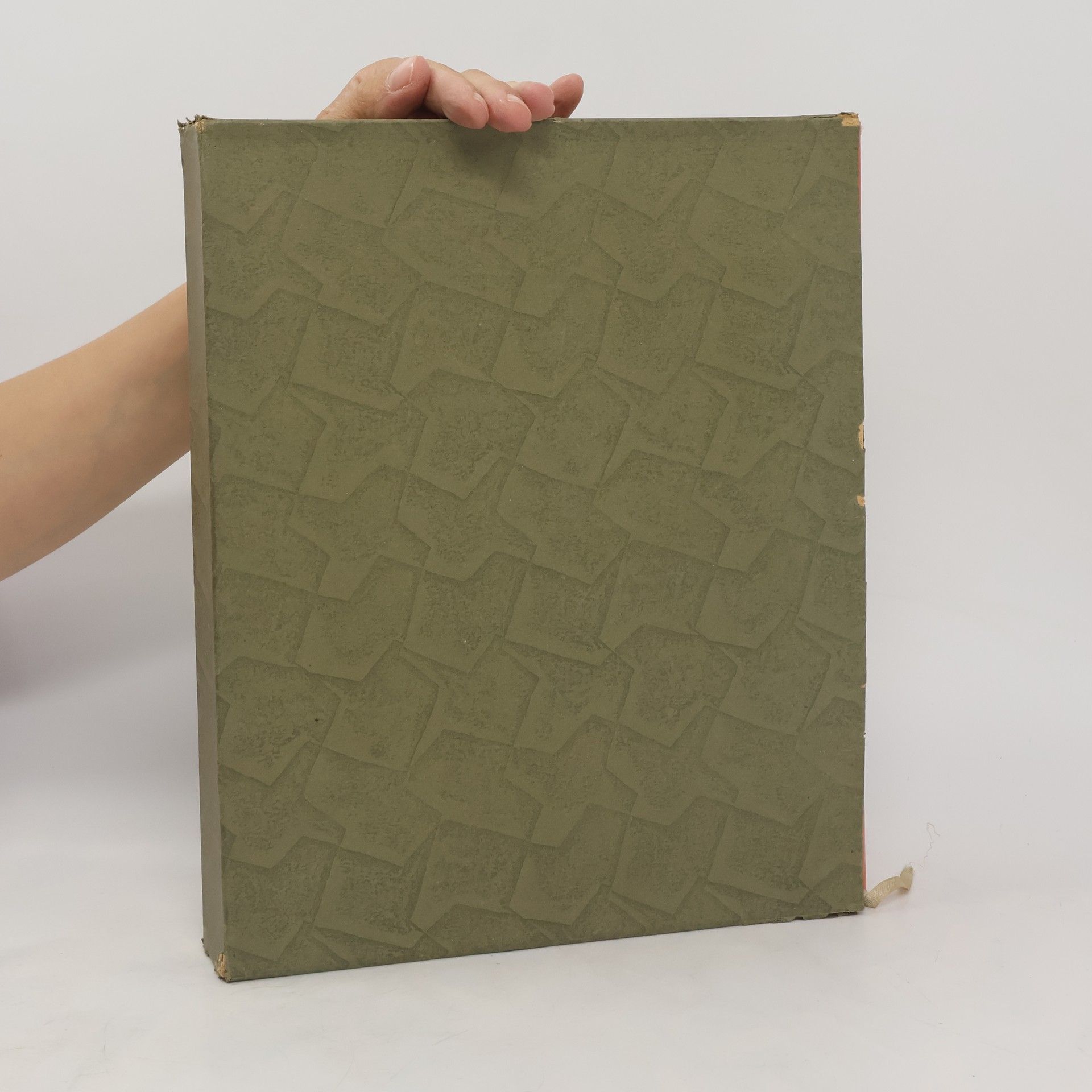 Josef Mánes Zemi milované... Mánesův odkaz národu