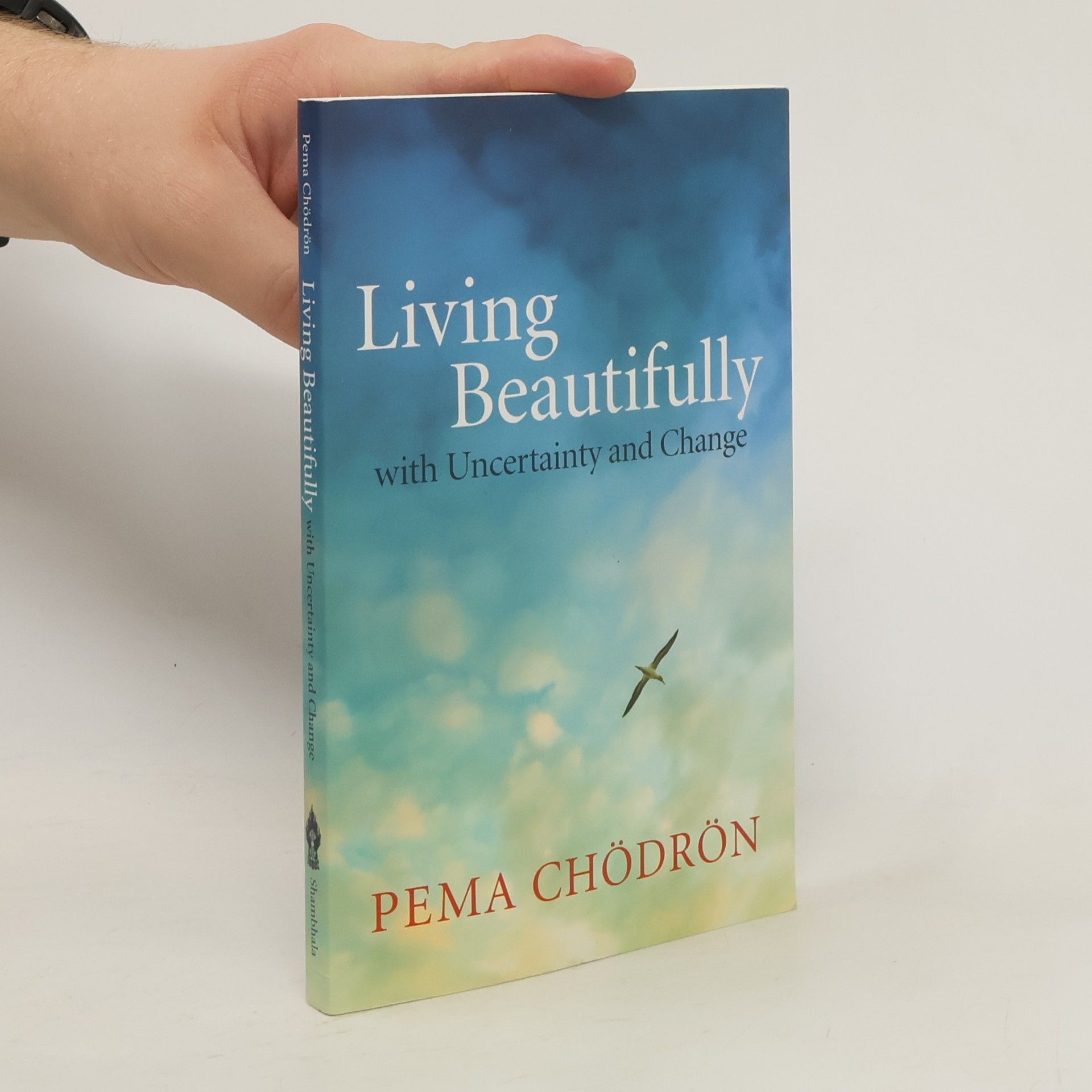 Pema Čhödrön Living Beautifully