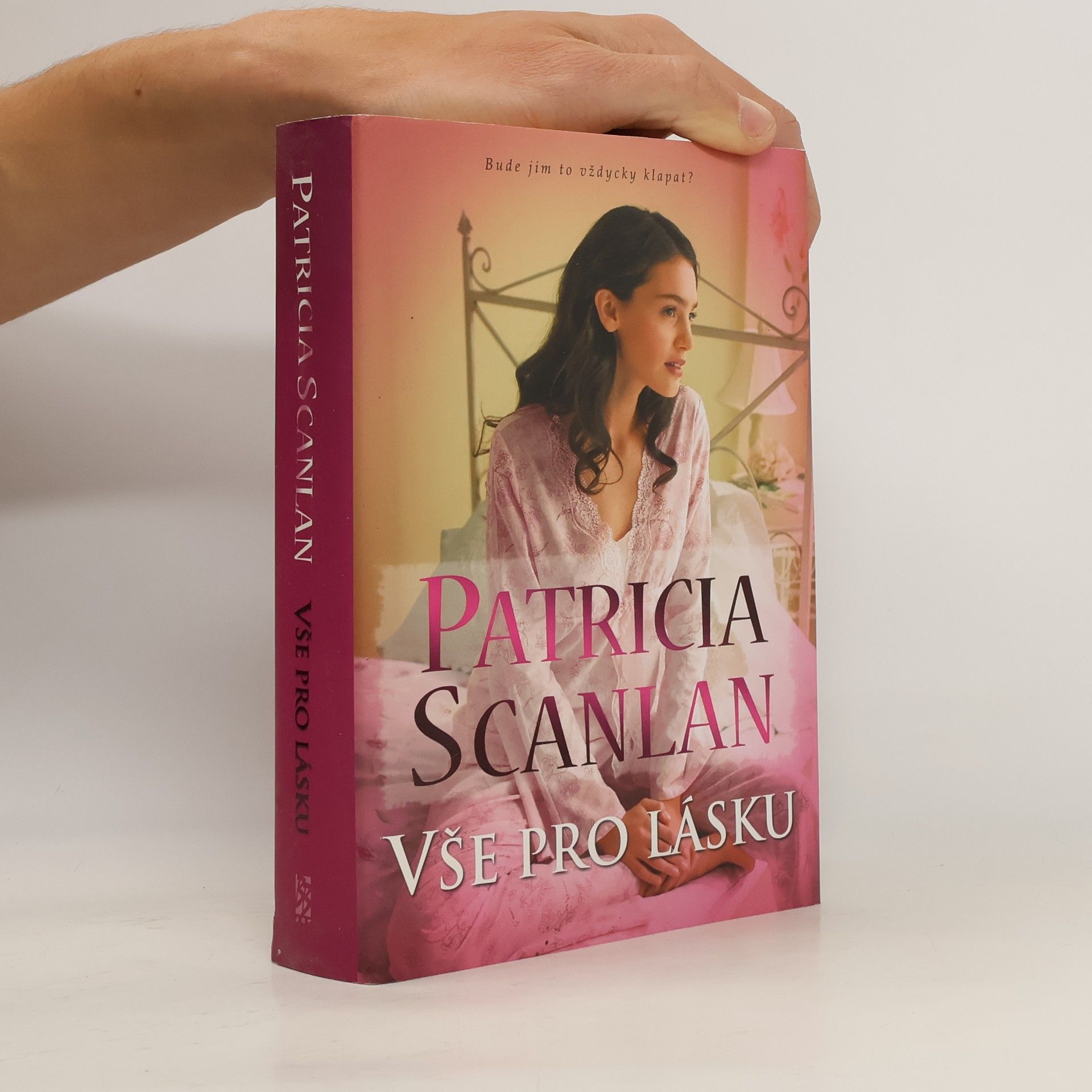 Patricia Scanlan Vše pro lásku