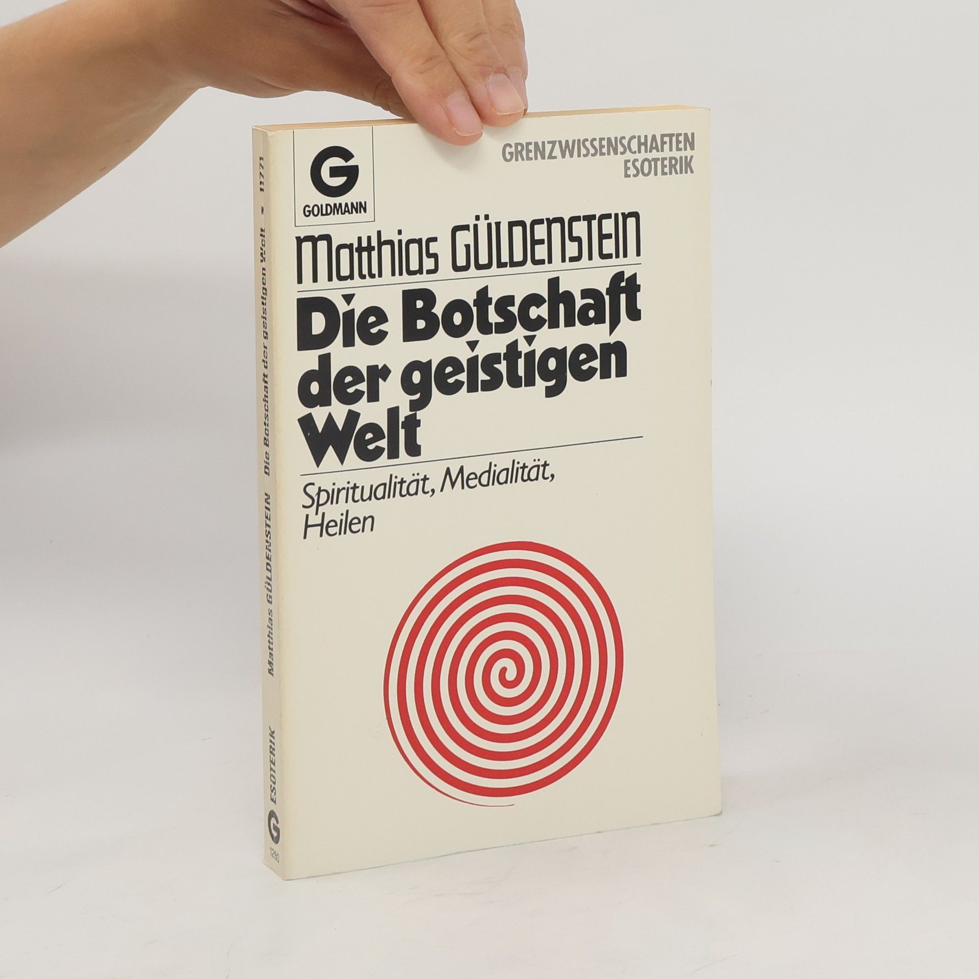 Matthias Güldenstein Die Botschaft der geistigen Welt
