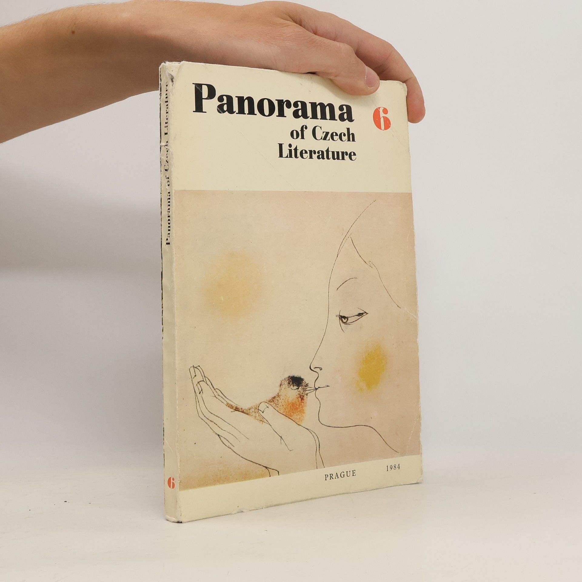 Collective Panorama of Czech Literature 6