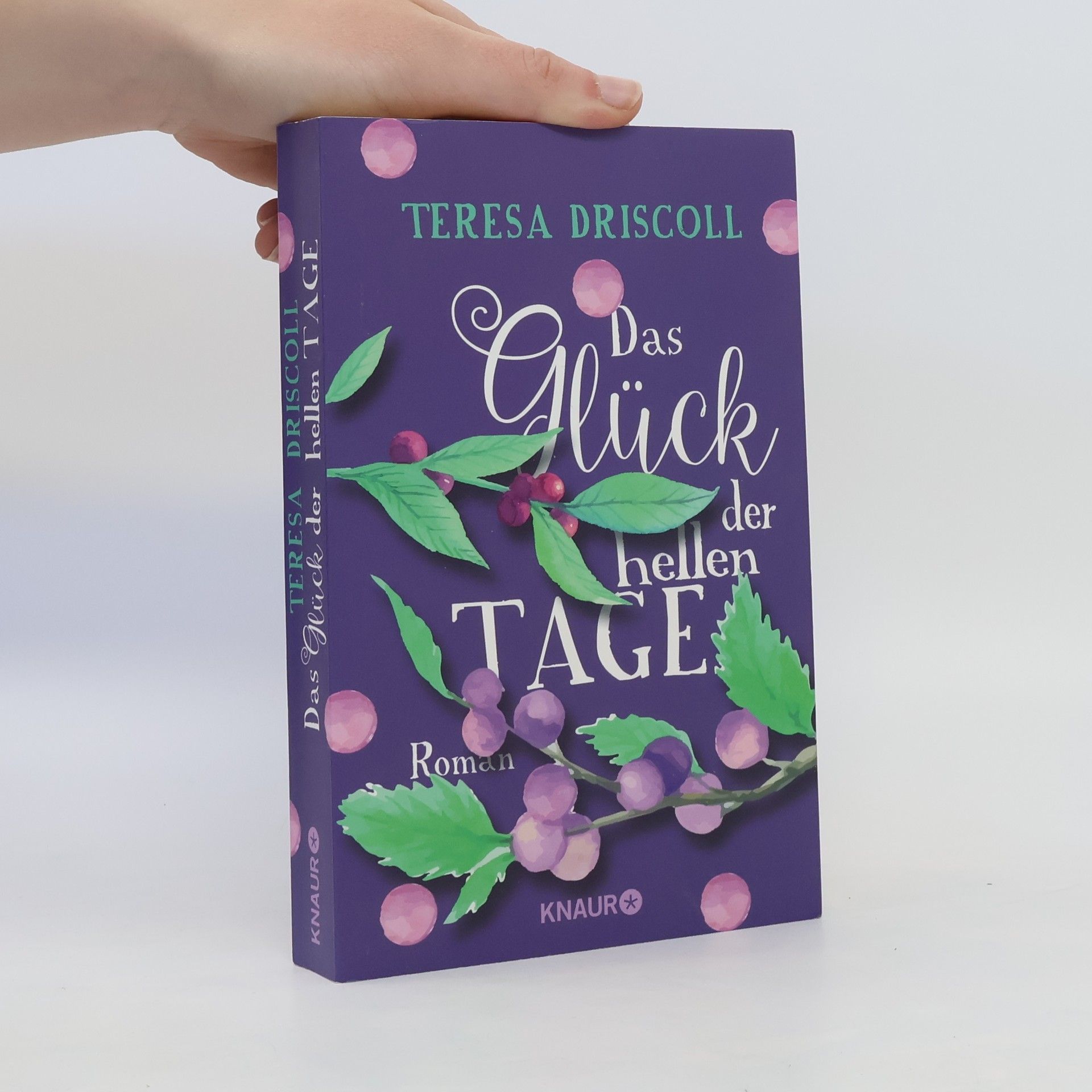 Teresa Driscoll Das Glück der hellen Tage