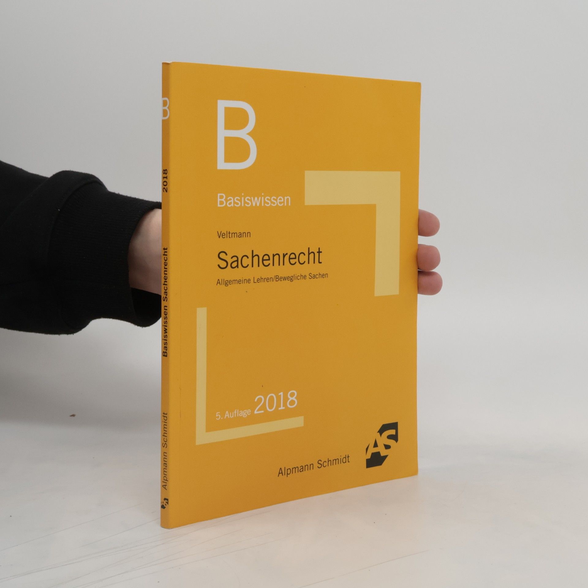 Till Veltmann Basiswissen Sachenrecht