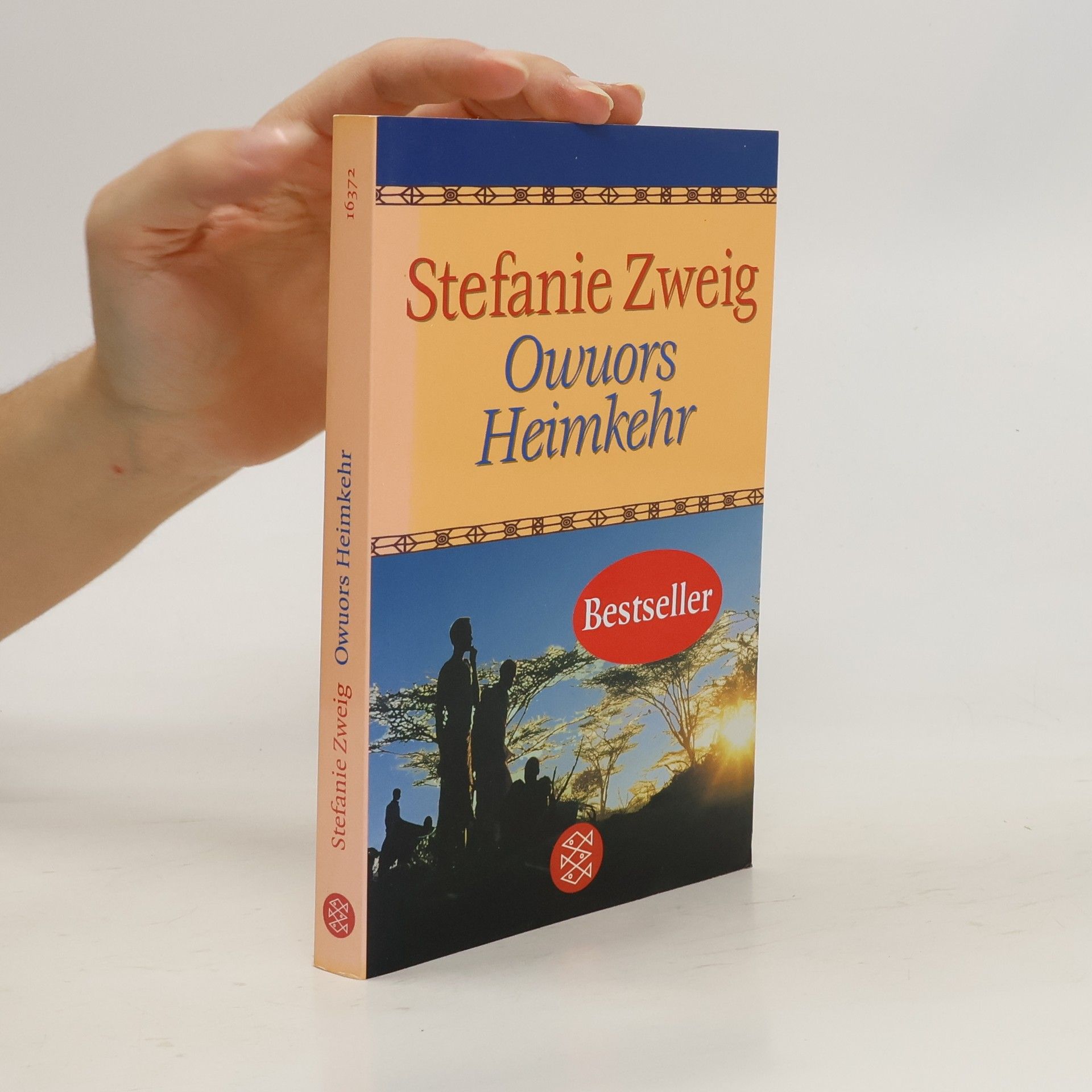 Stefanie Zweig Owuors Heimkehr