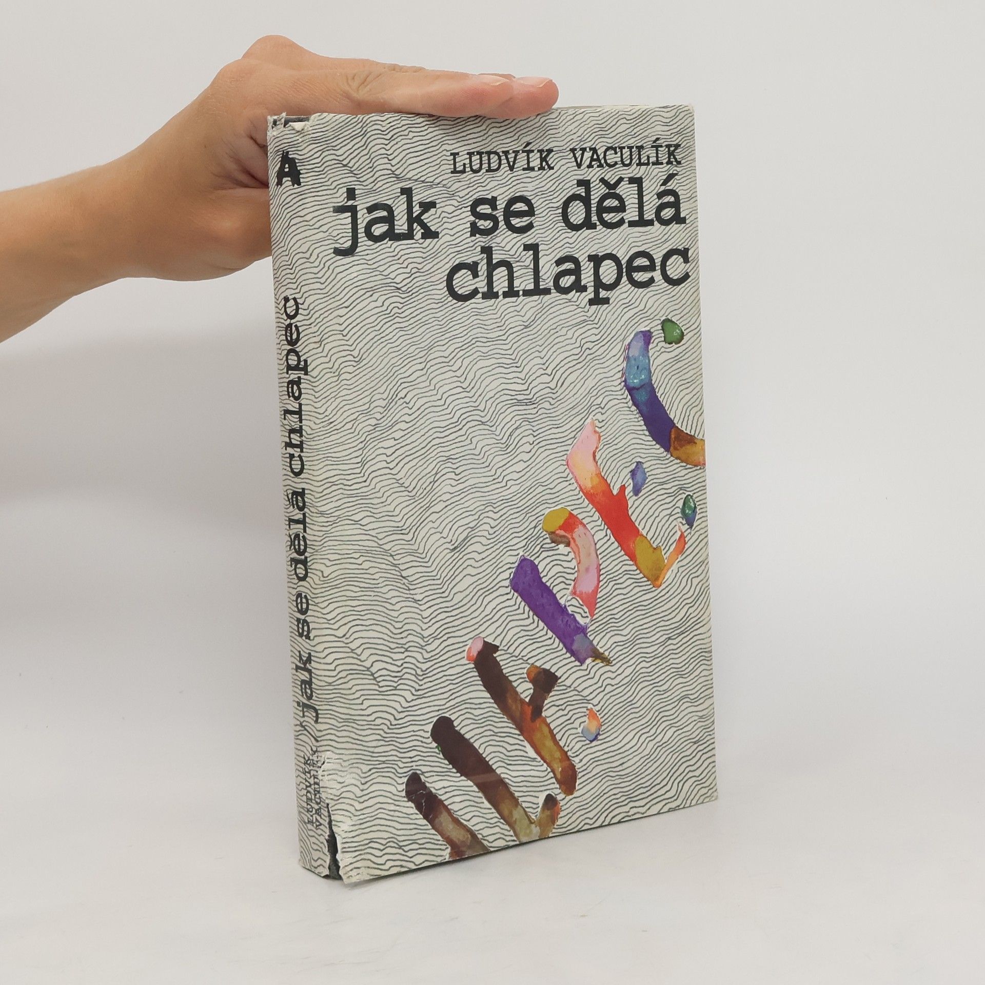 Ludvík Vaculík Jak se dělá chlapec