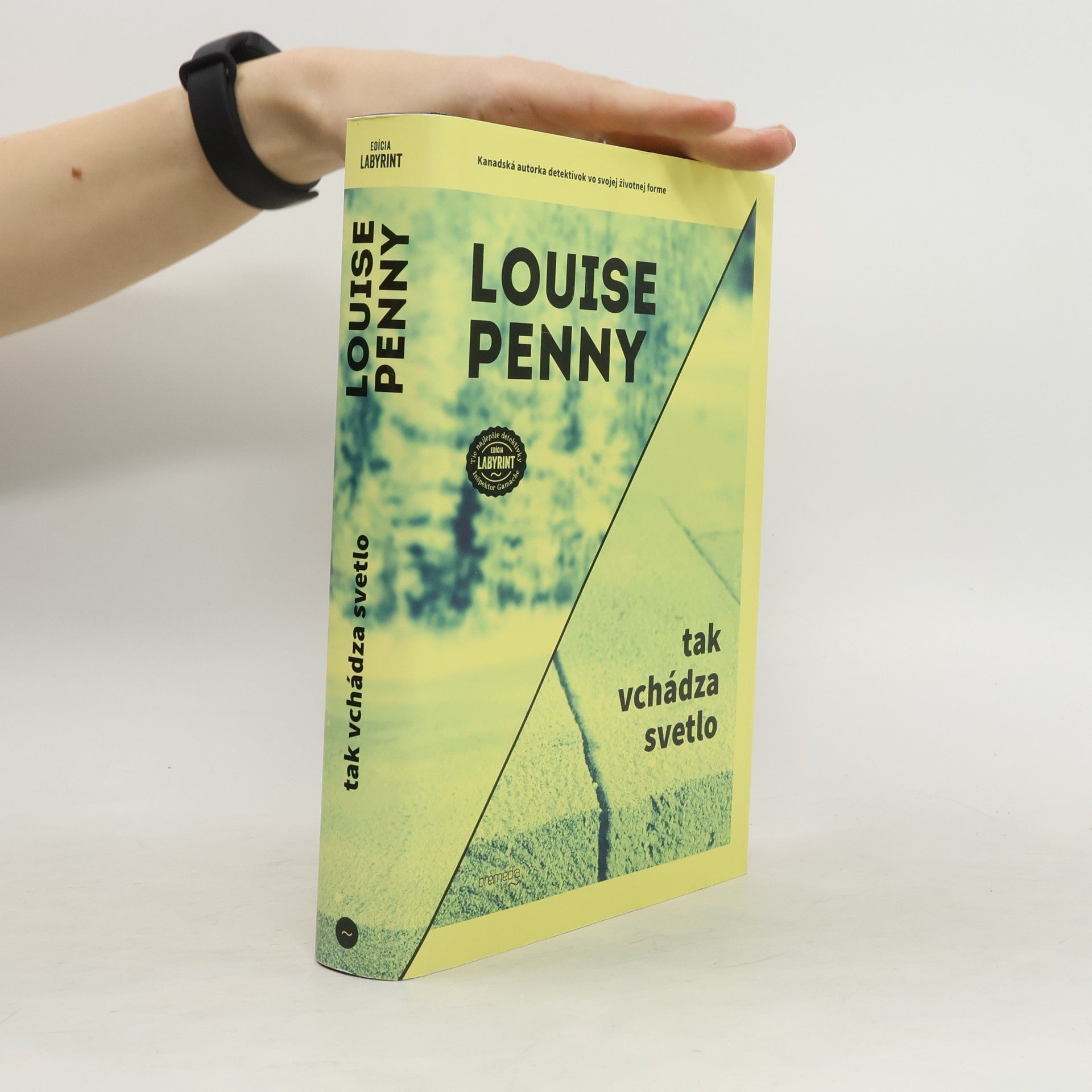 Louise Penny Tak vchádza svetlo