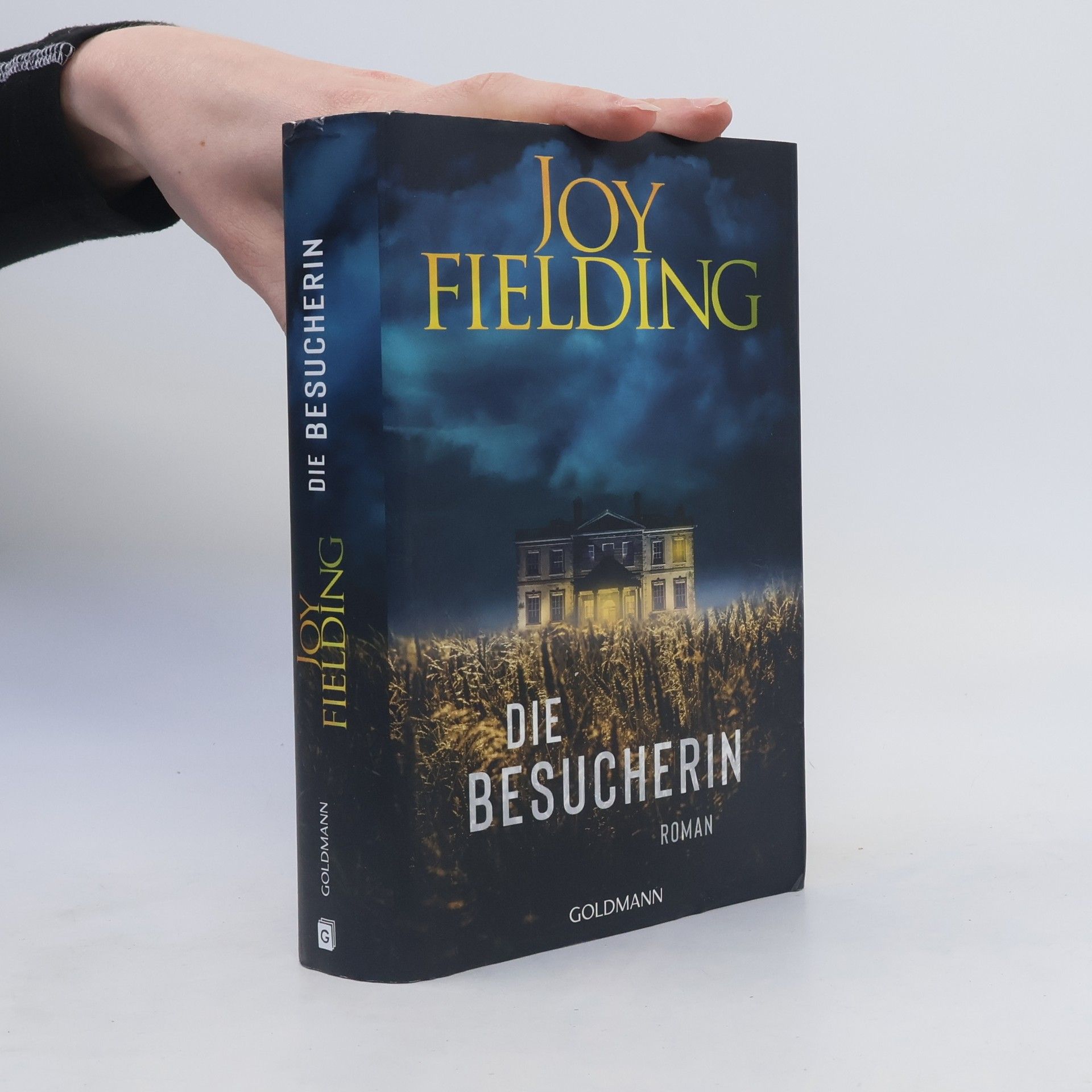 Joy Fielding Die Besucherin