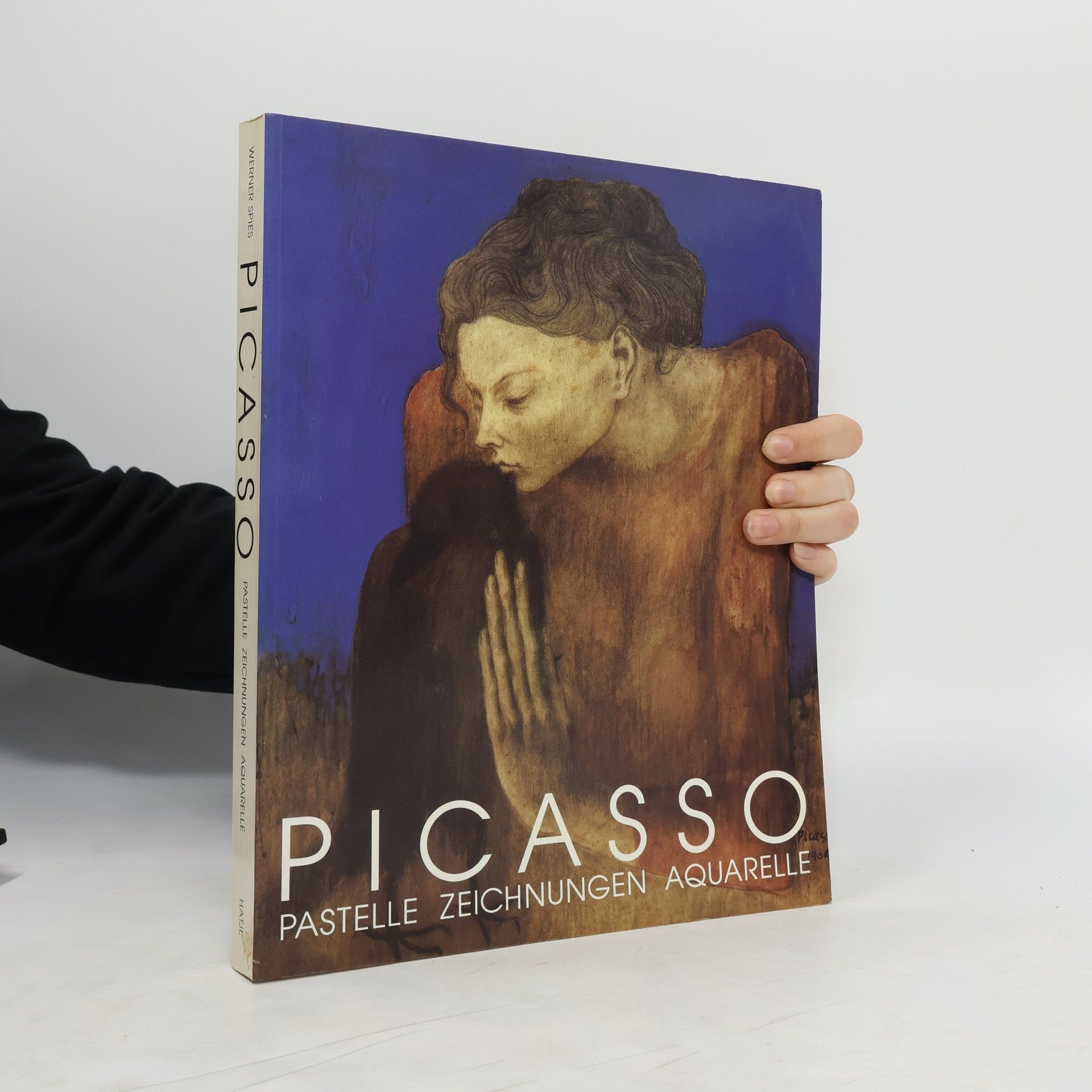 Werner Spies Picasso