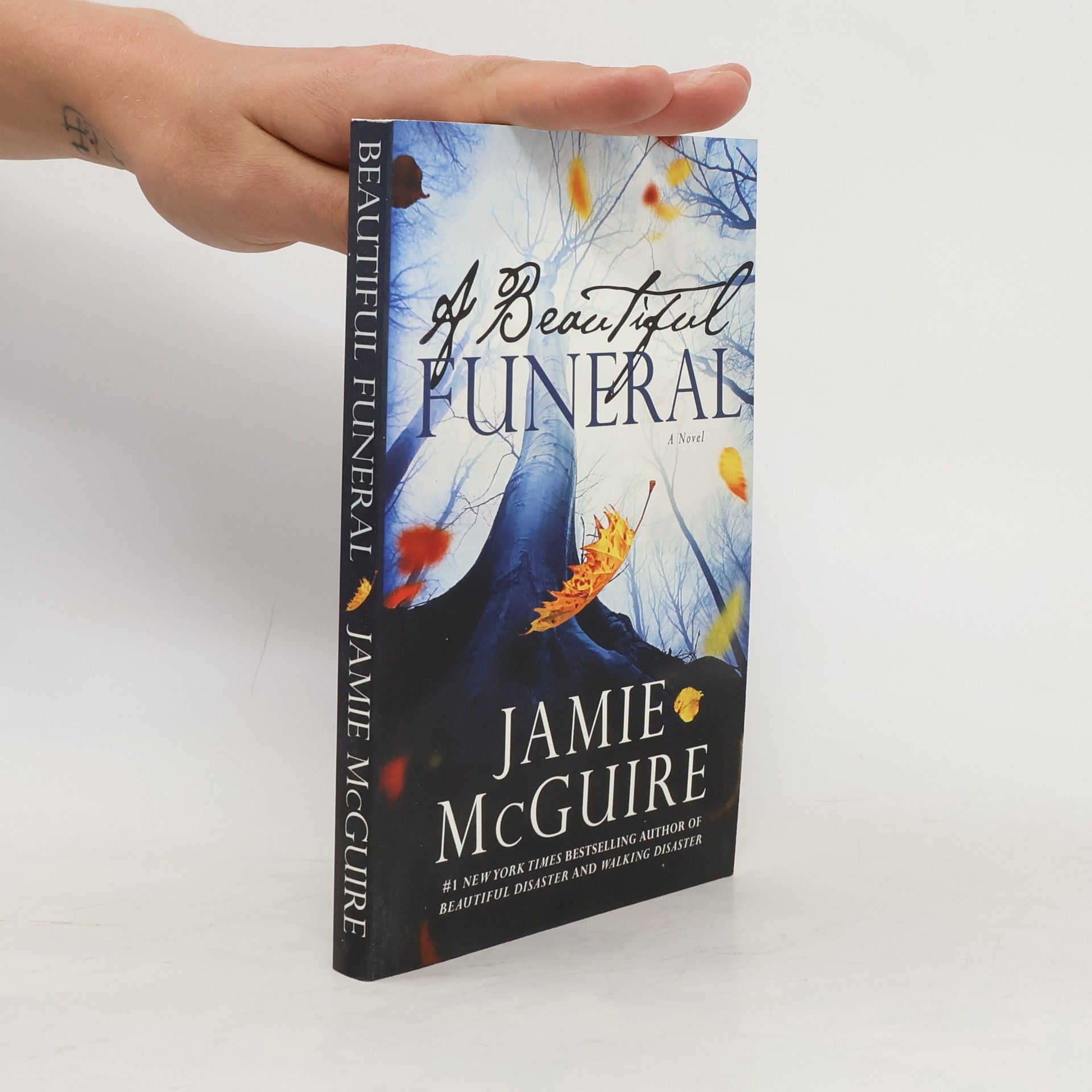 Jamie McGuire A Beautiful Funeral