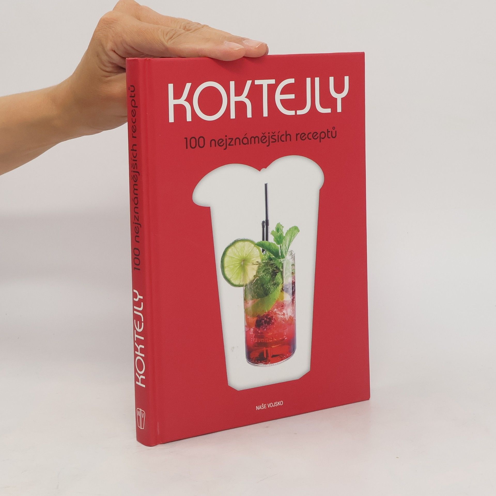 Gianfranco Di Niso Koktejly : 100 nejznámějších receptů