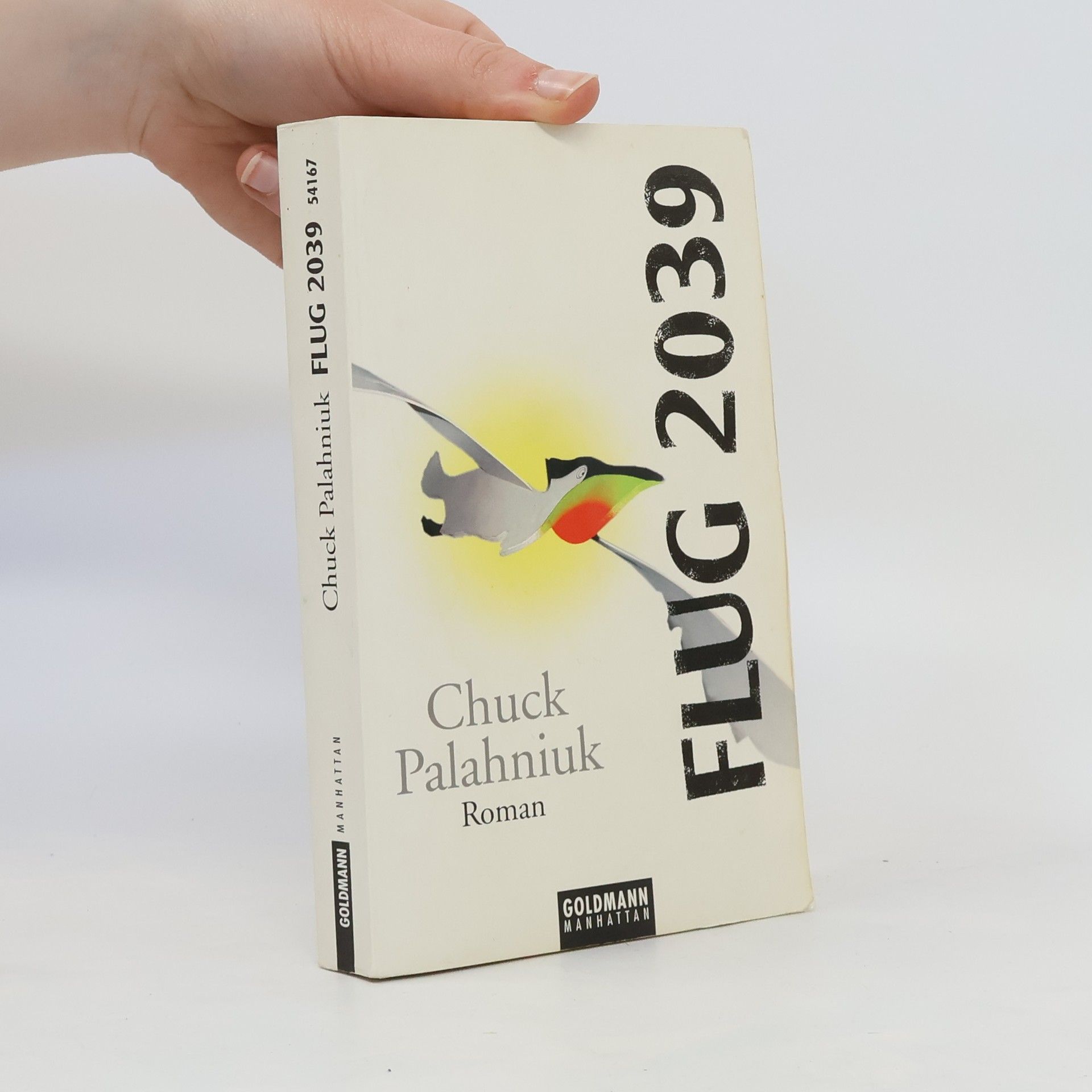 Chuck Palahniuk Flug 2039