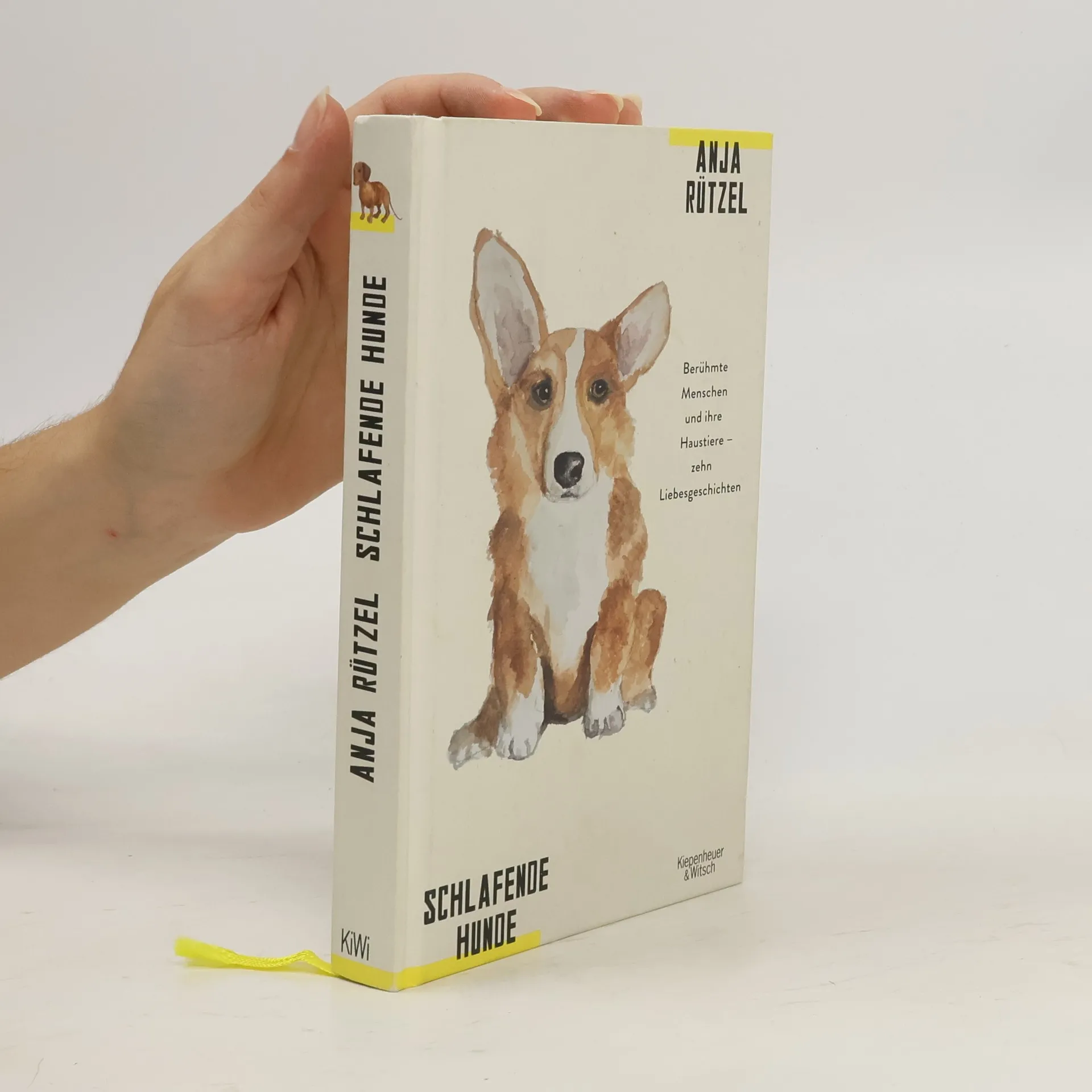 Schlafende Hunde | Book | Hardcover | Anja Rützel | DE