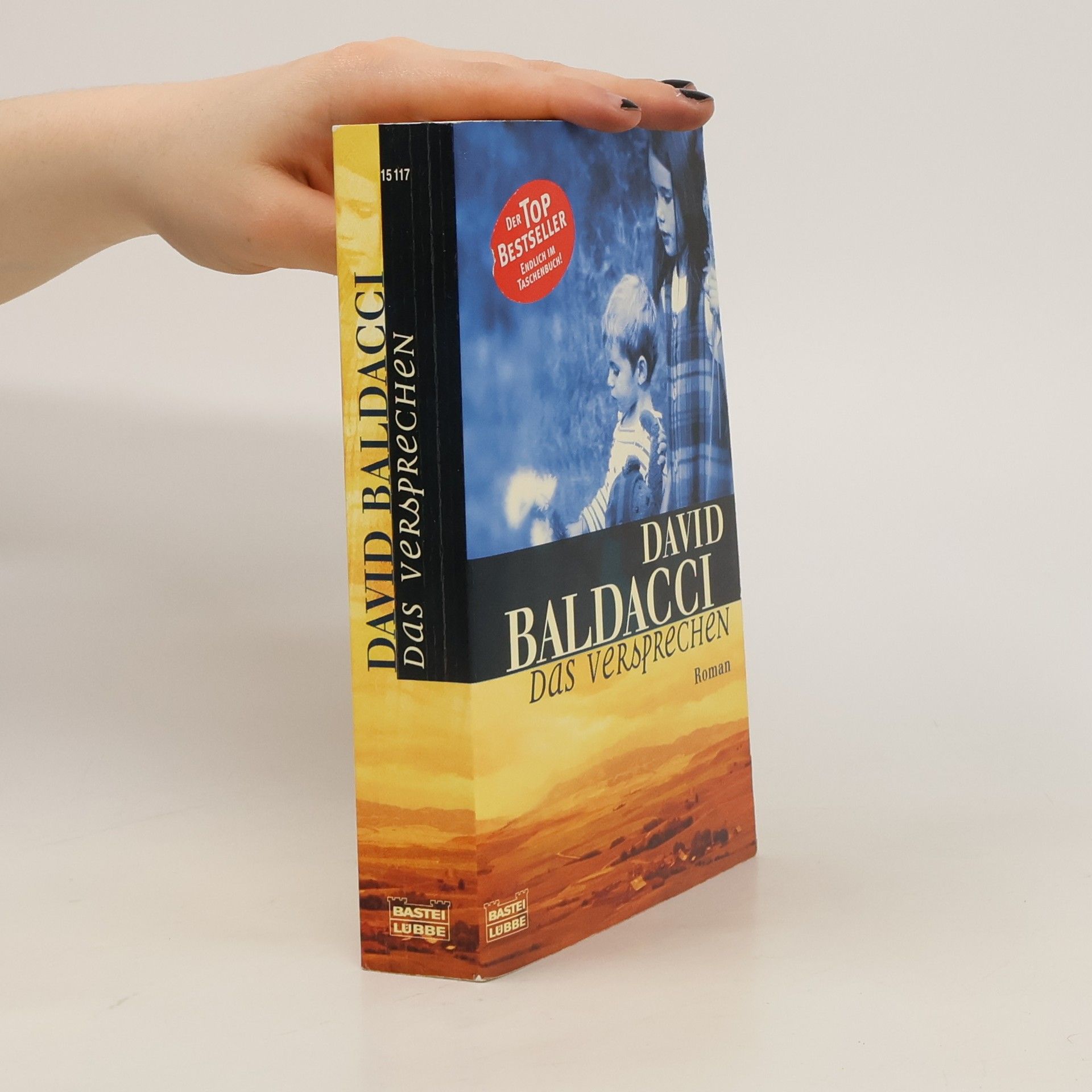 David Baldacci Das Versprechen