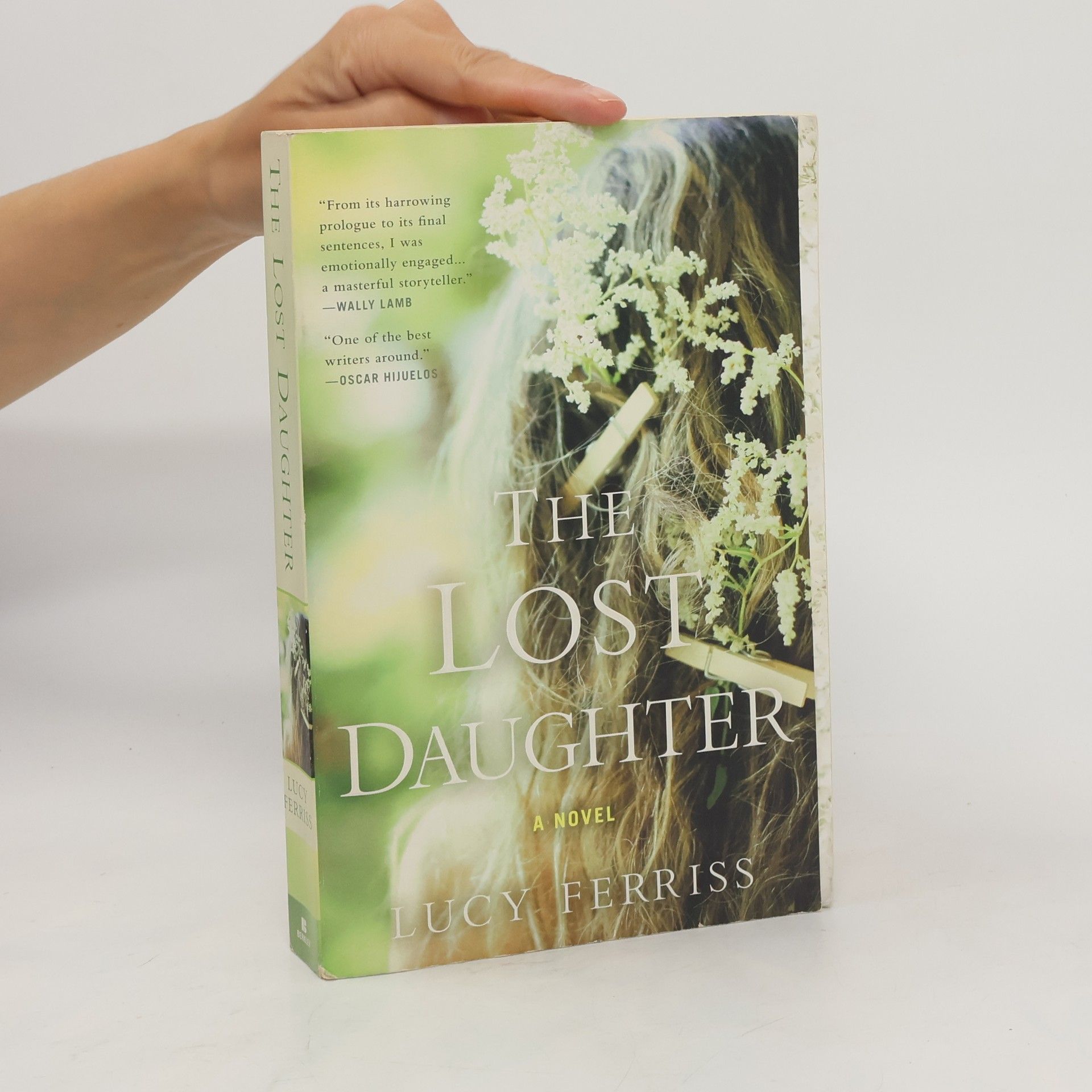 Lucy Ferriss The Lost Daughter