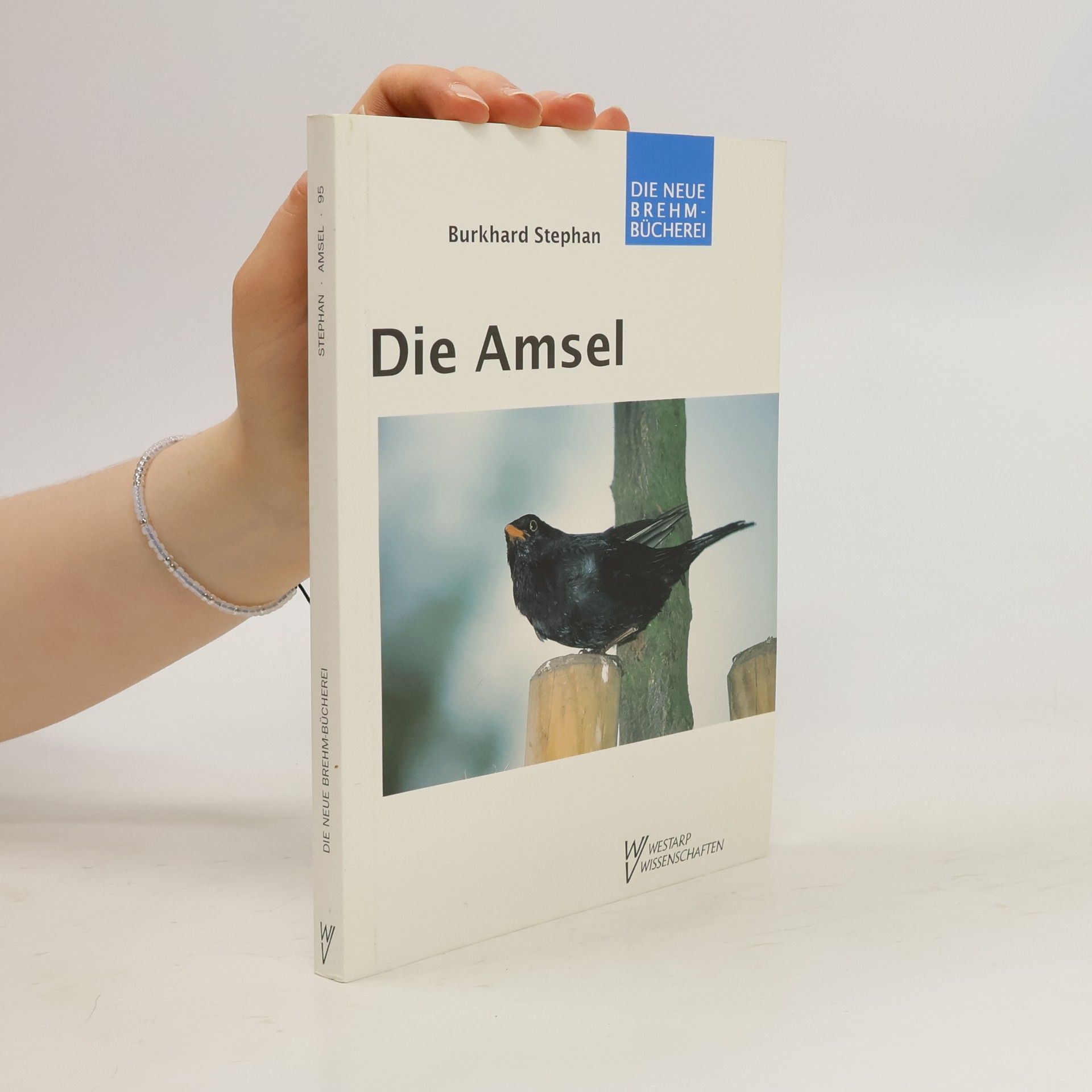 Burkhard Stephan Die Amsel