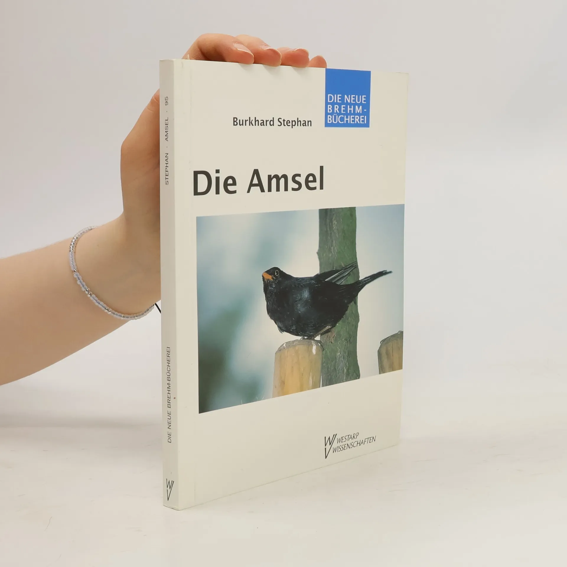 Die Amsel | Buch | Burkhard Stephan