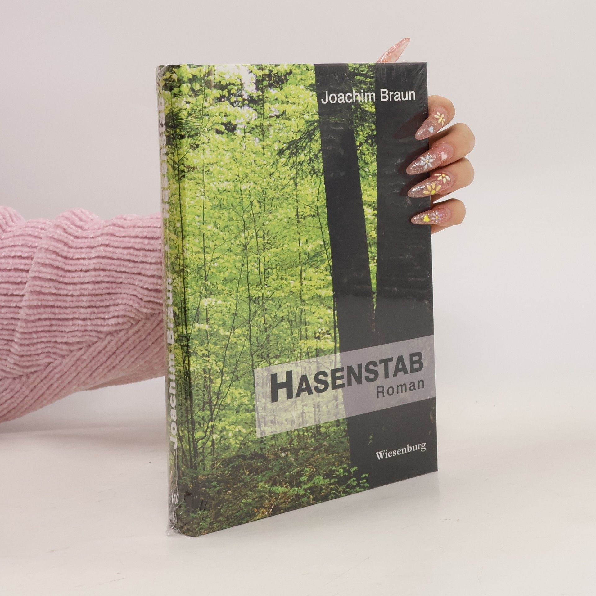 Joachim Braun Hasenstab