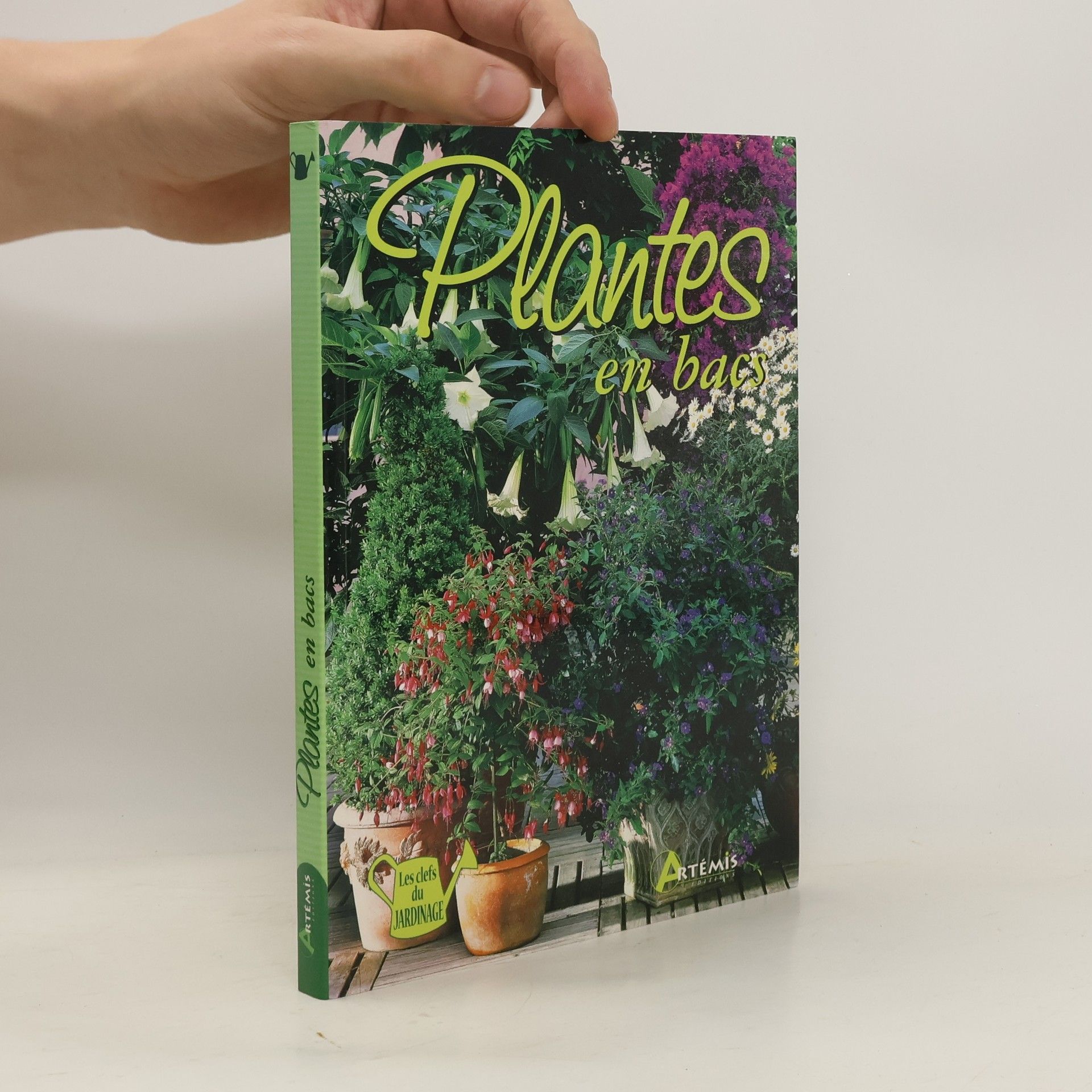 Tanja Ratsch Plantes en bacs