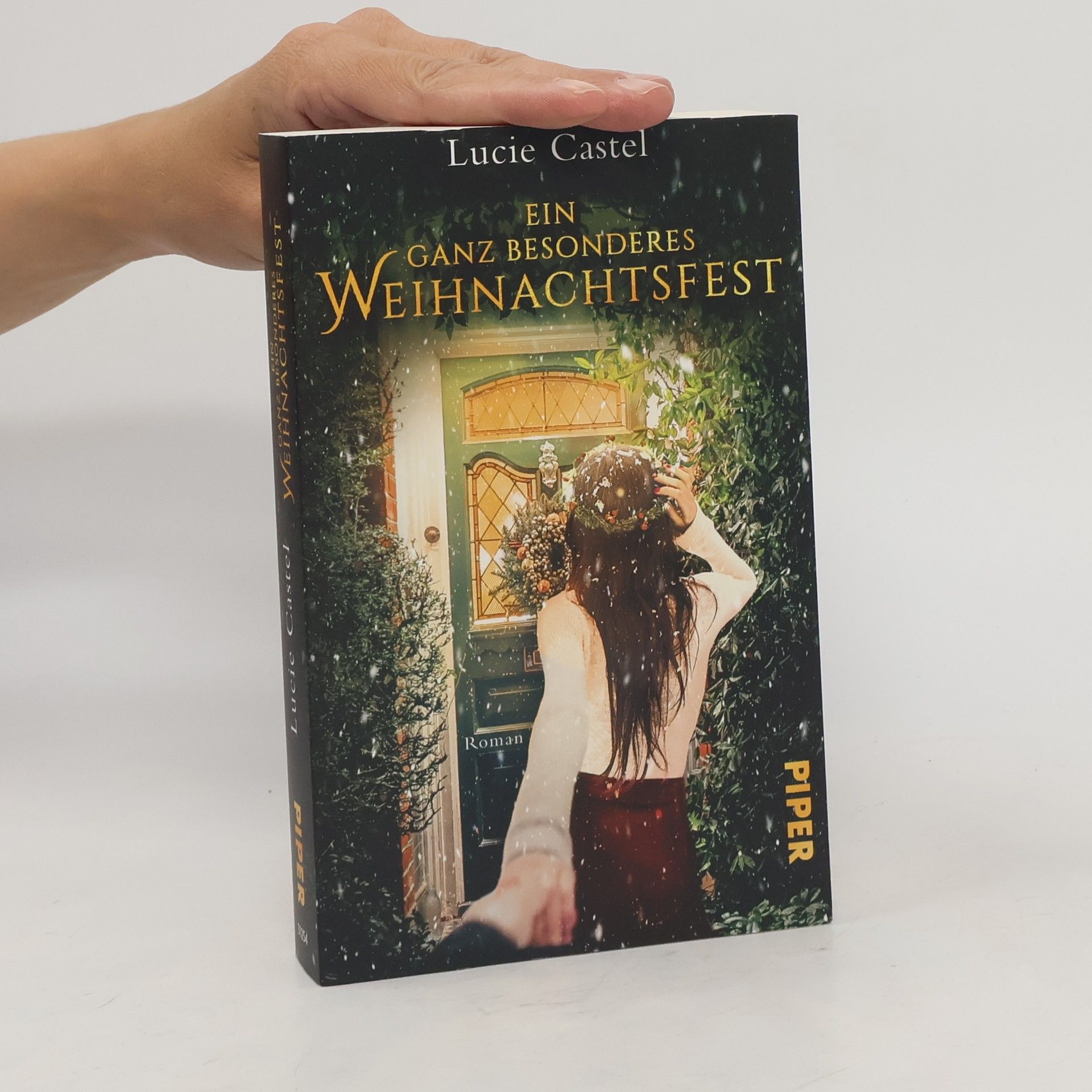 Lucie Castel Ein ganz besonderes Weihnachtsfest