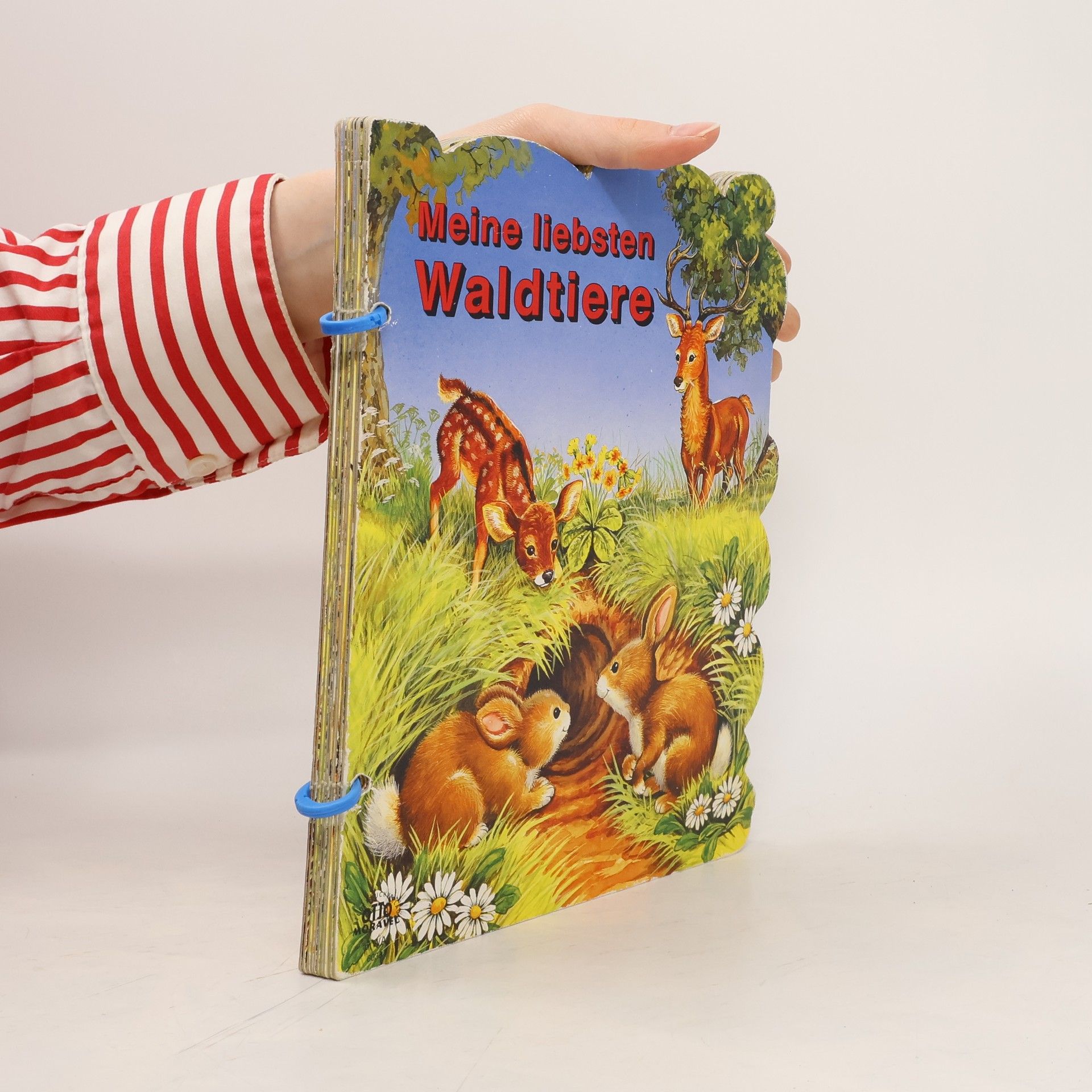 Autorenkollektiv Meine liebsten Waldtiere