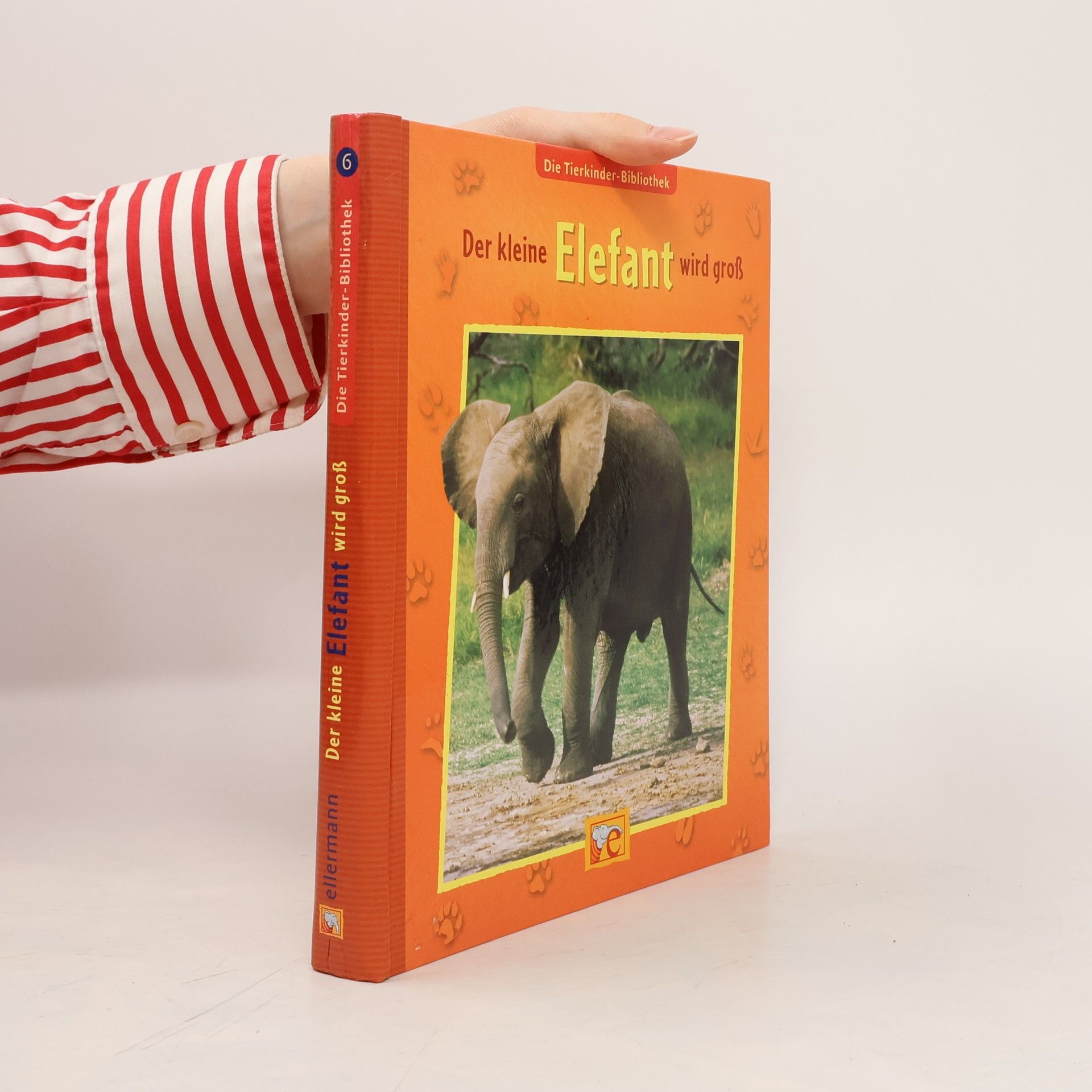 Corinna Küpper Der kleine Elefant wird groß