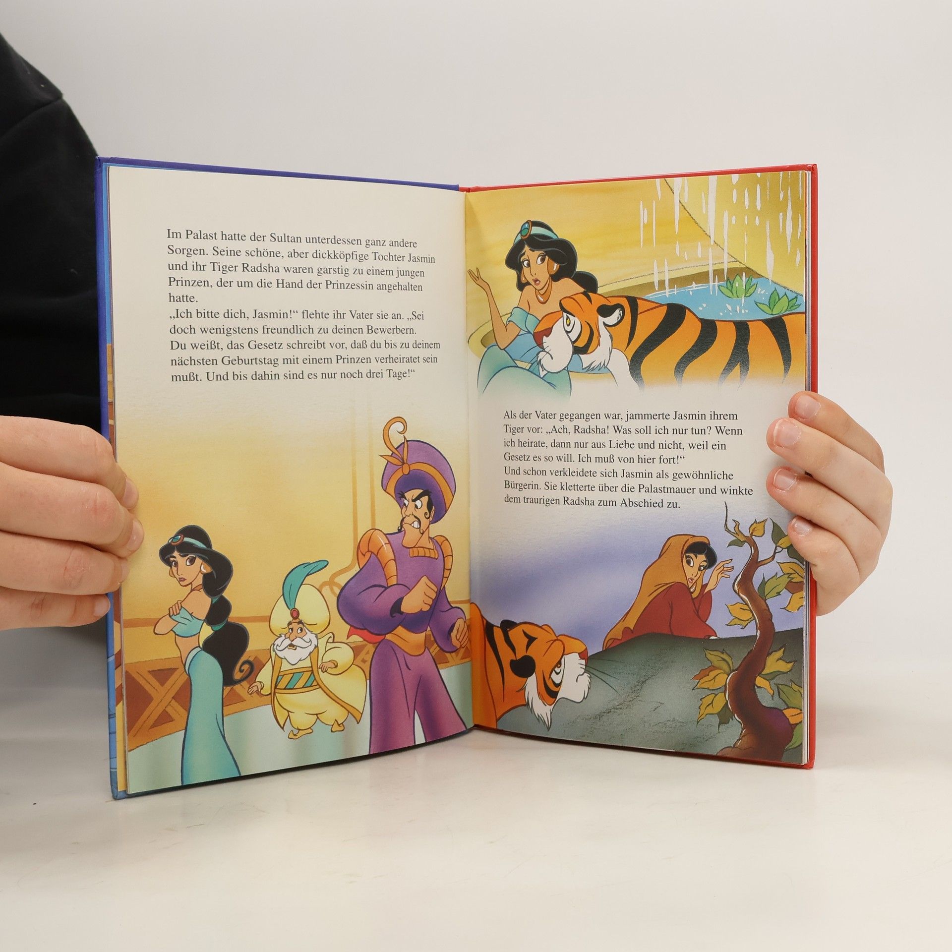 Walt Disney Aladdin