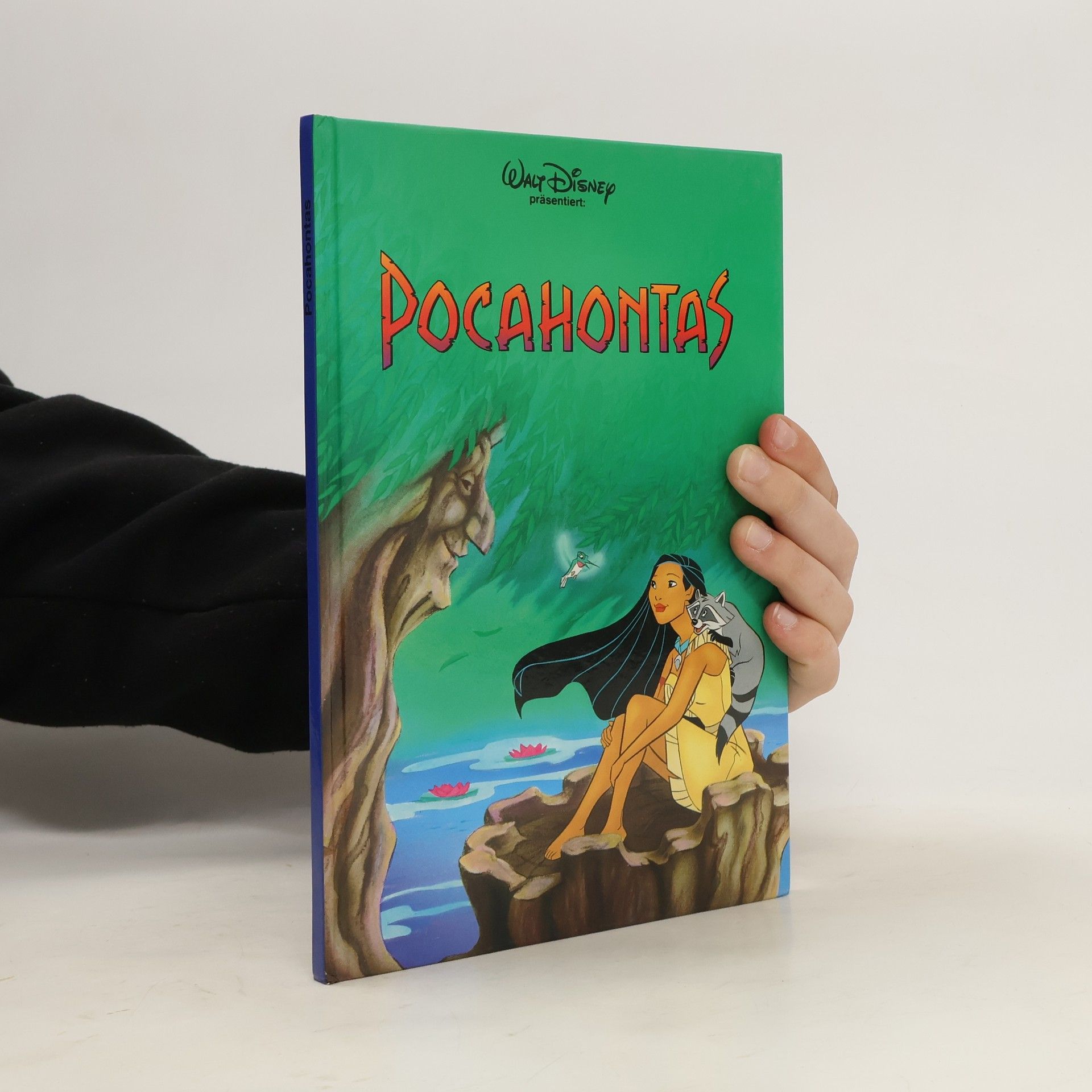 Collectif d'auteurs Pocahontas