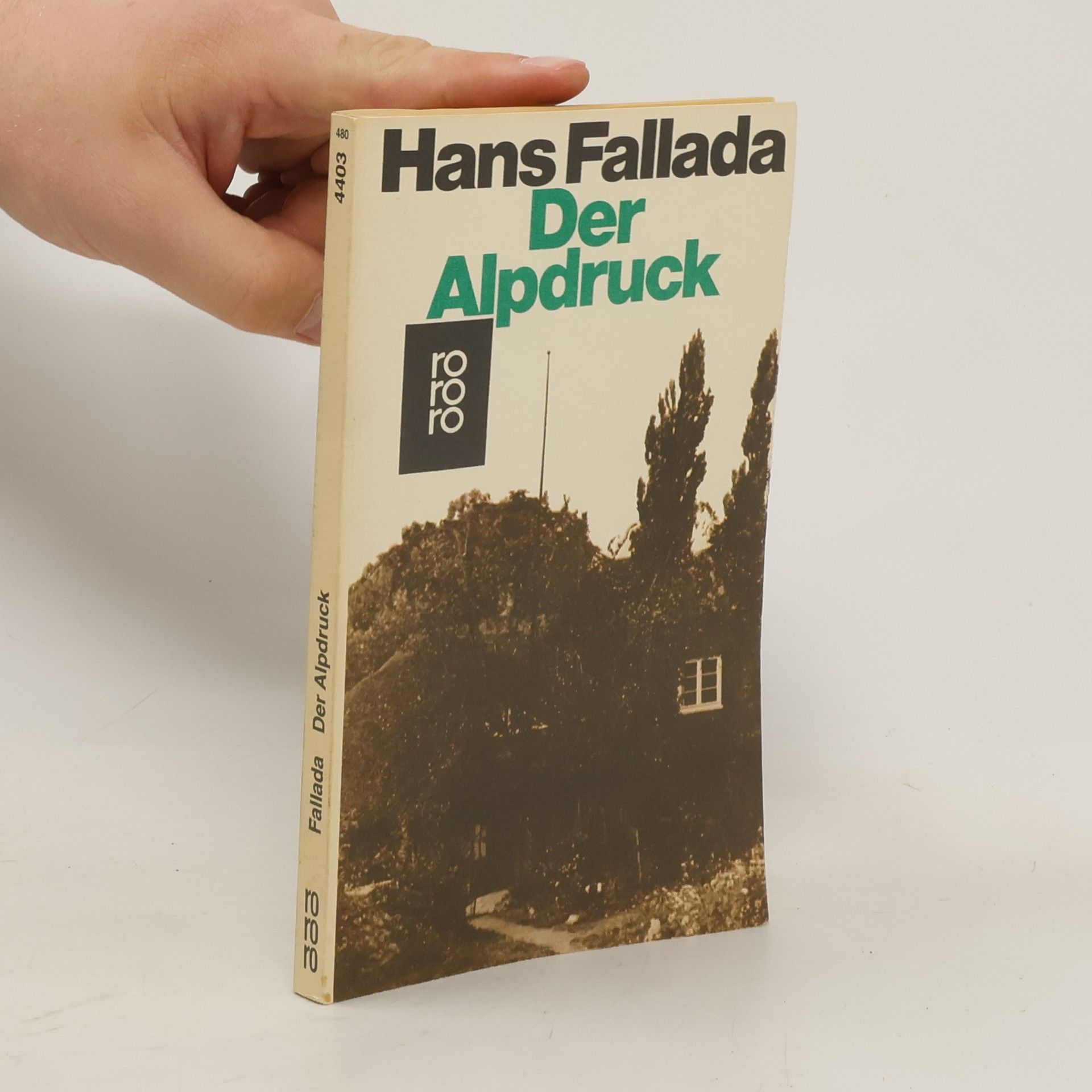 Hans Fallada Der Alpdruck