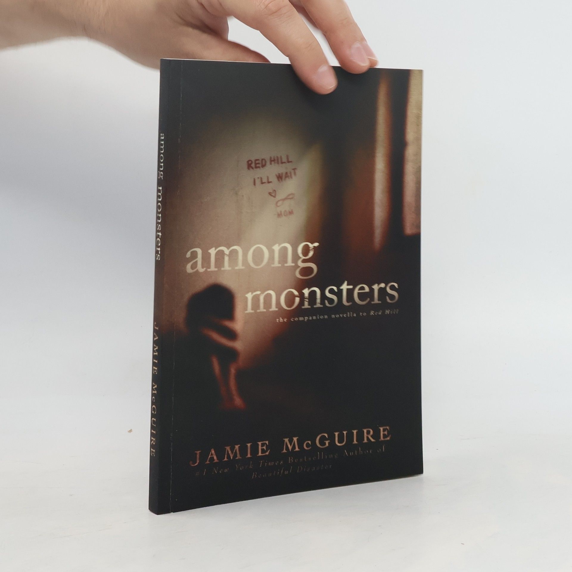 Jamie McGuire Among Monsters