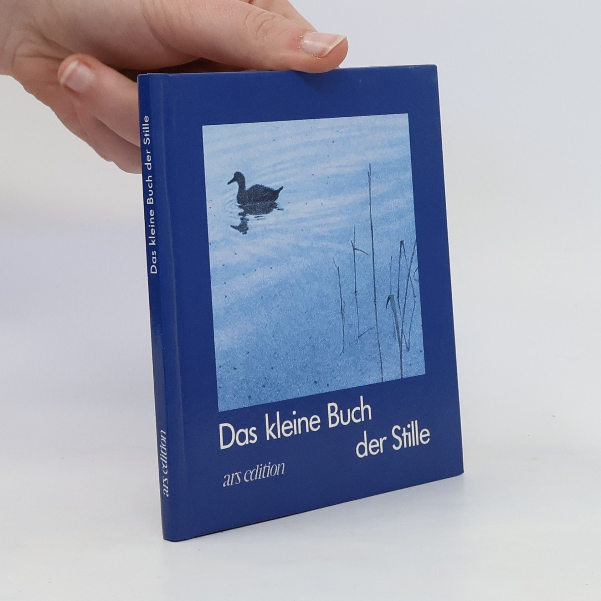 Bernhard Oberdieck Das kleine Buch der Stille