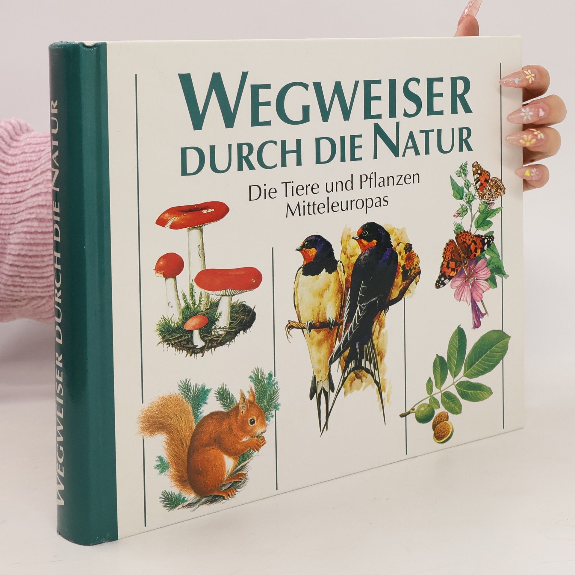 Autores varios Wegweiser durch die Natur