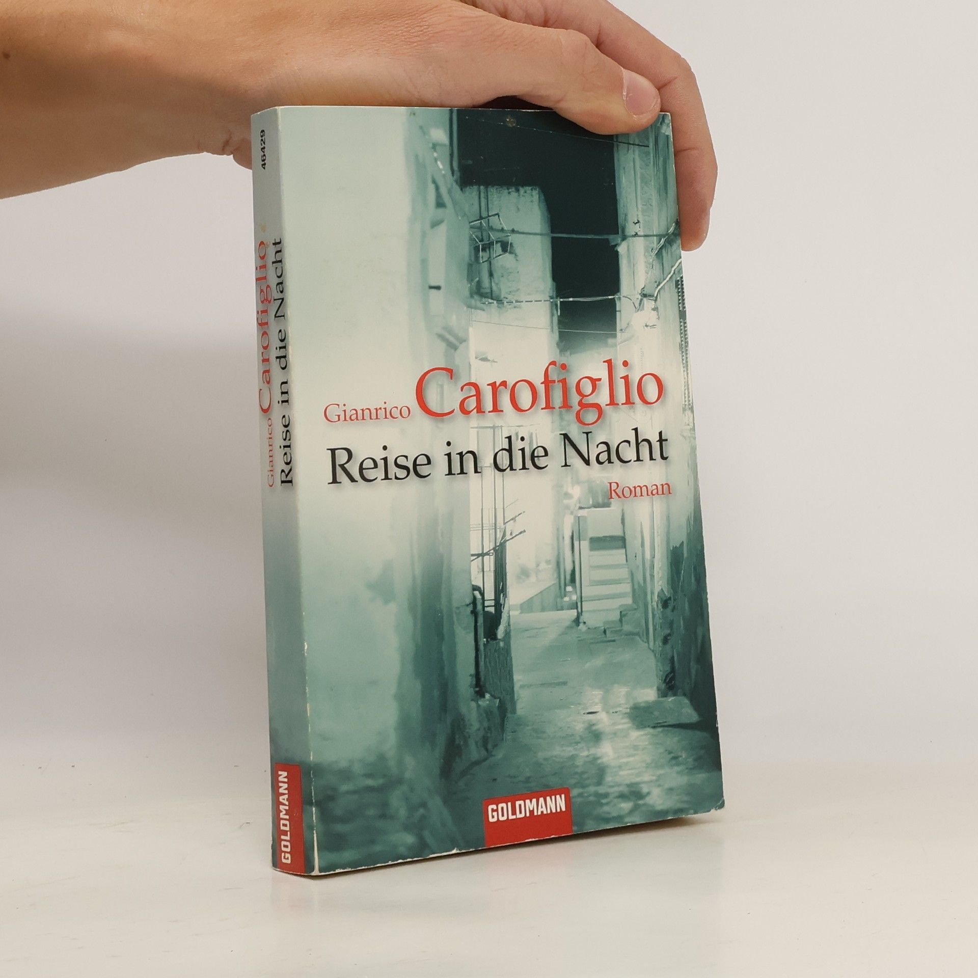 Gianrico Carofiglio Reise in die Nacht