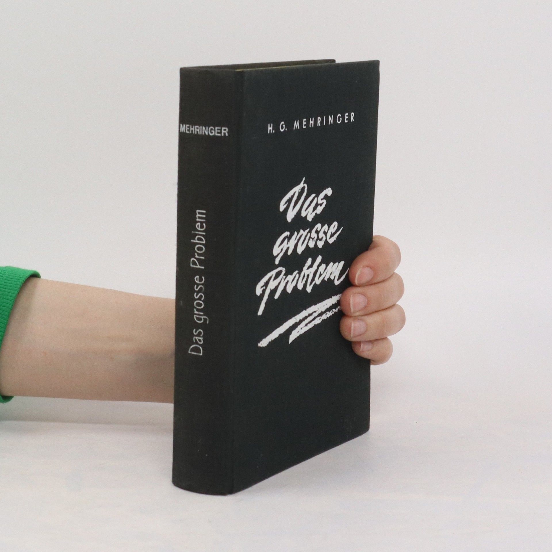 Hans Georg Mehringer  Das grosse Problem