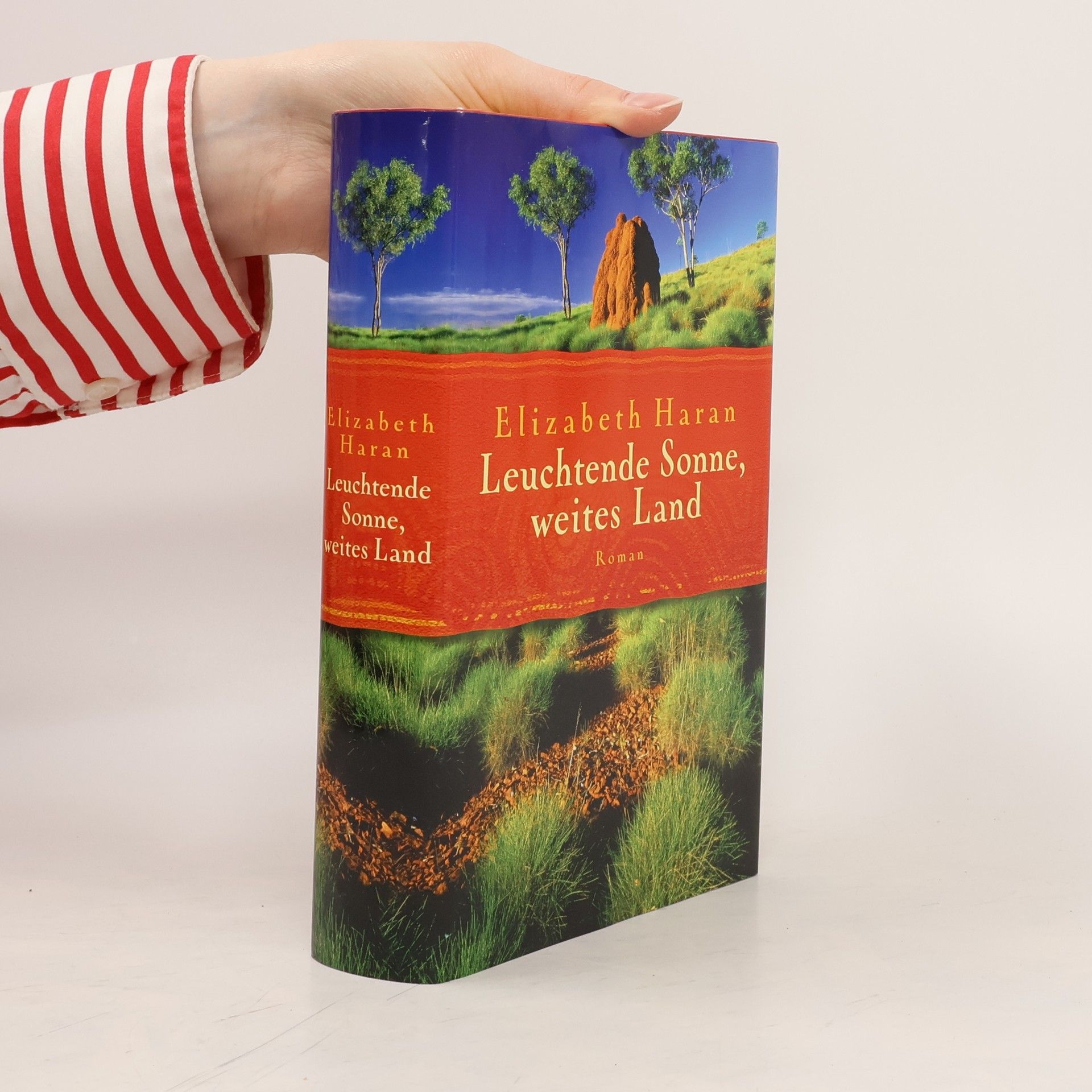 Elizabeth Haran Leuchtende Sonne, weites Land