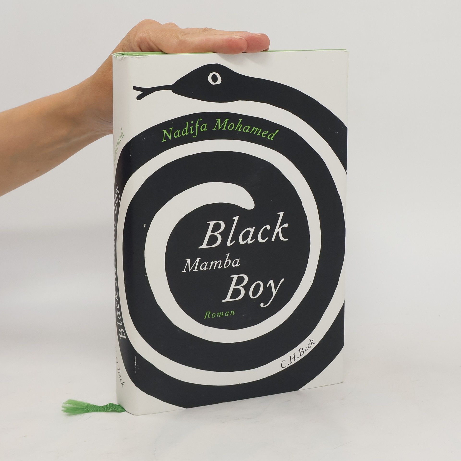 Nadifa Mohamed Black mamba boy