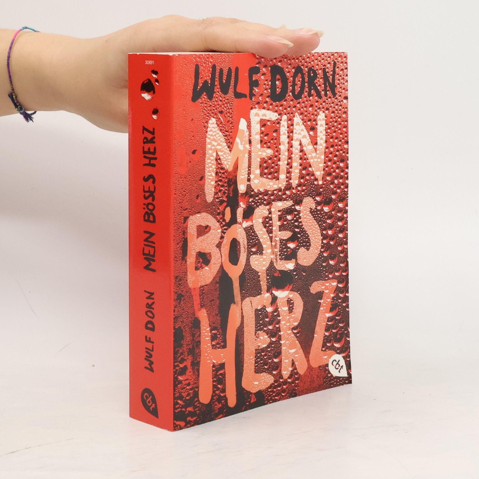 Wulf Dorn Mein böses Herz
