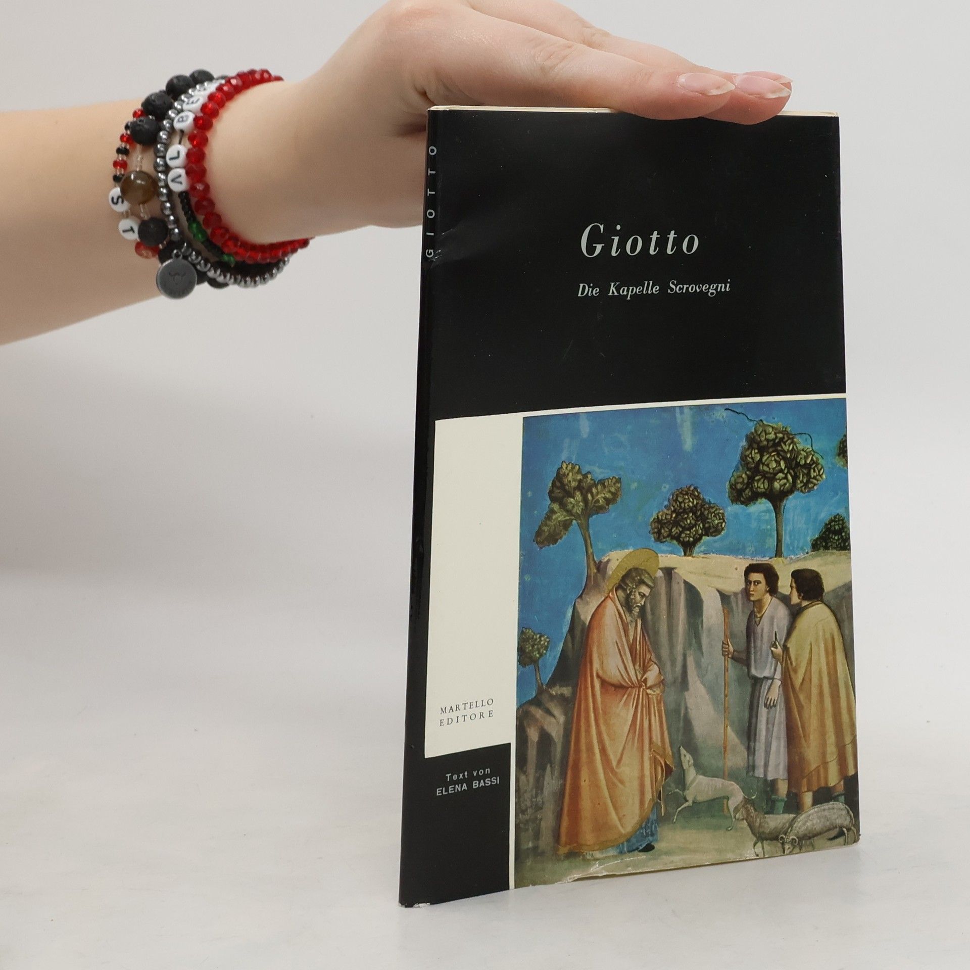 Collectif d'auteurs Giotto. Die Kapelle Scrovegni