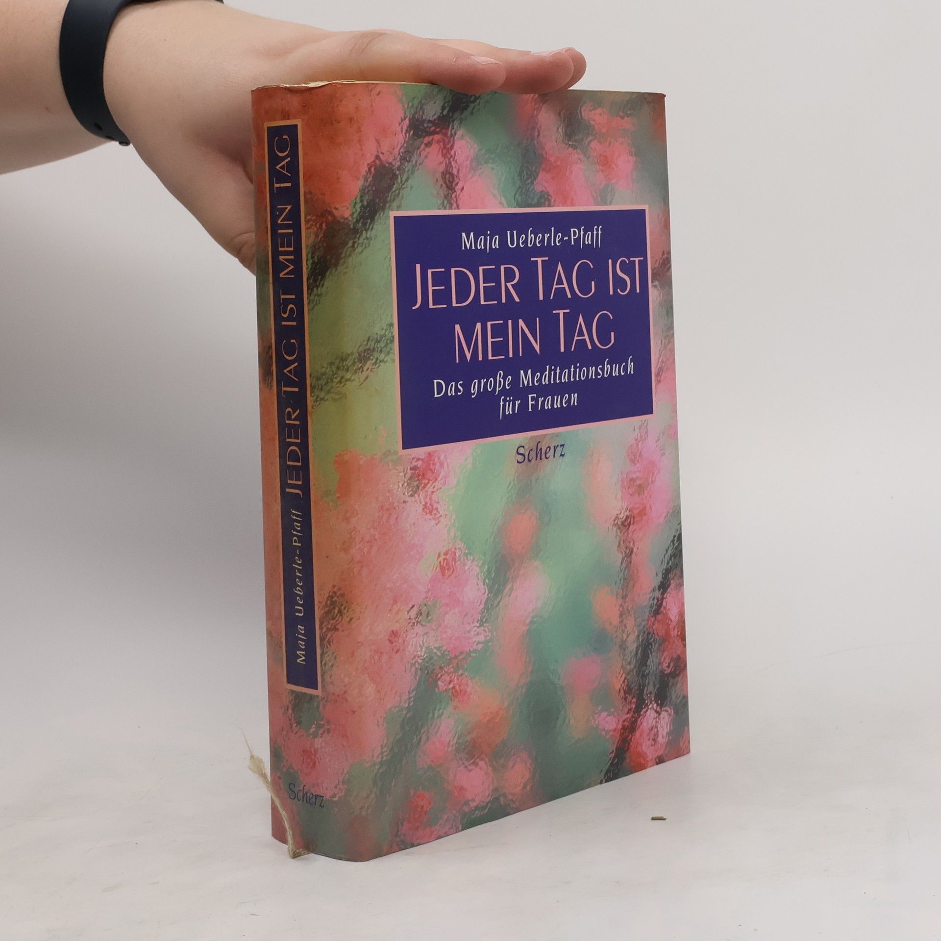 Maja Ueberle Pfaff Jeder Tag ist mein Tag