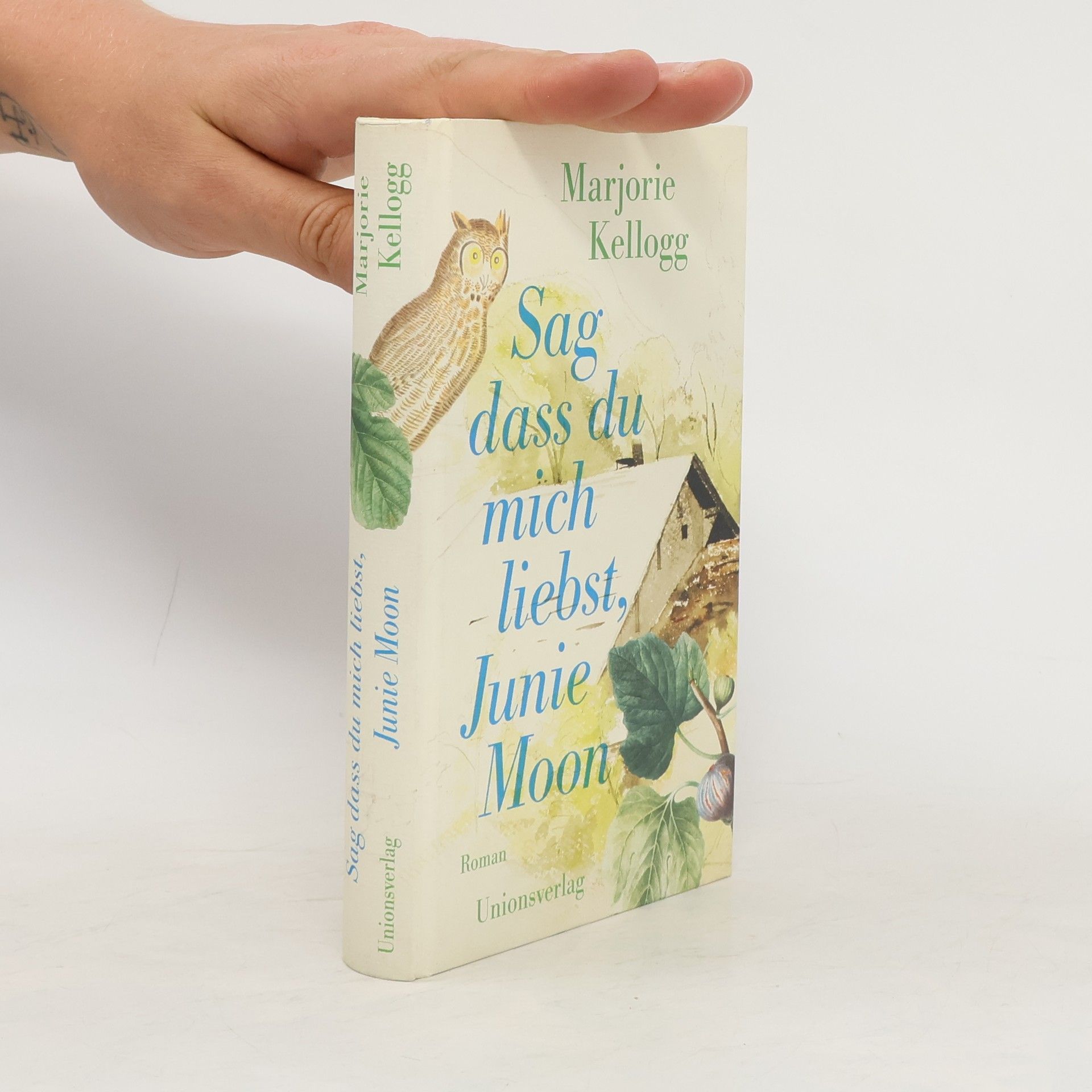 Marjorie Kellogg Sag dass du mich liebst, Junie Moon