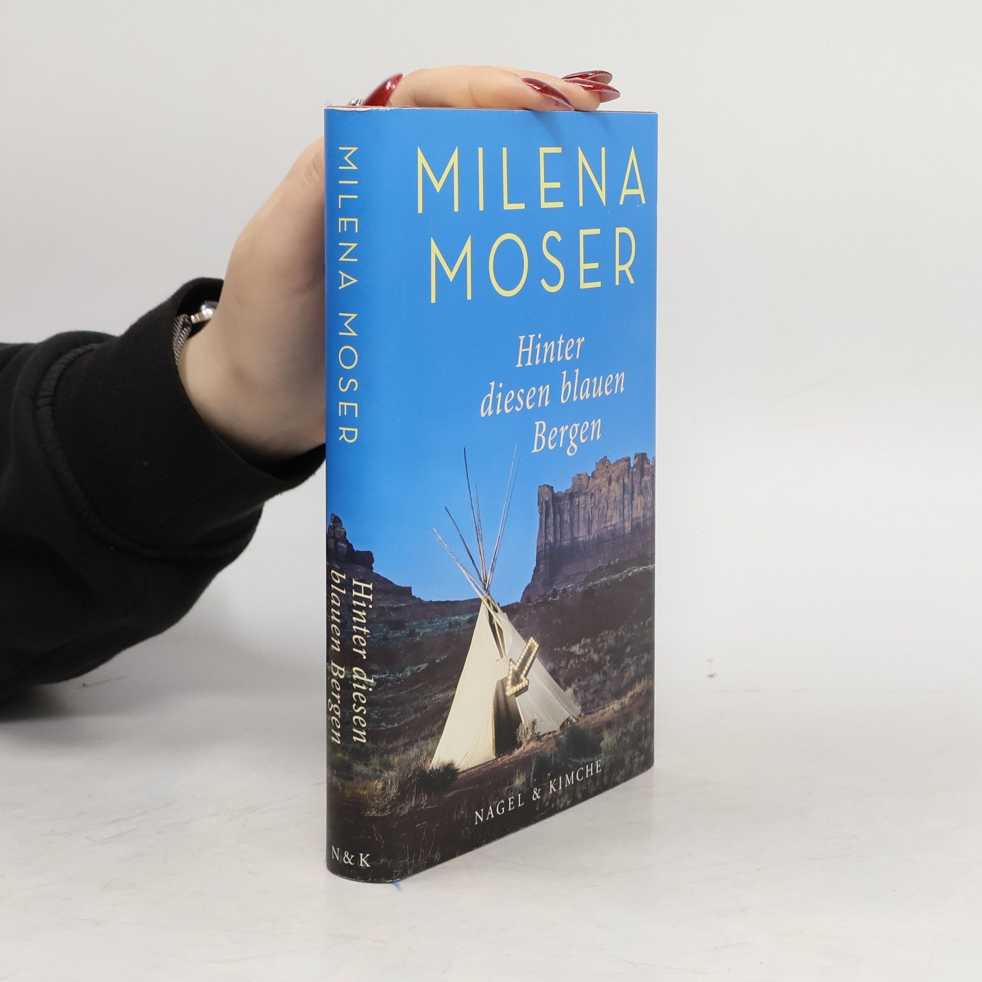 Milena Moser Hinter diesen blauen Bergen