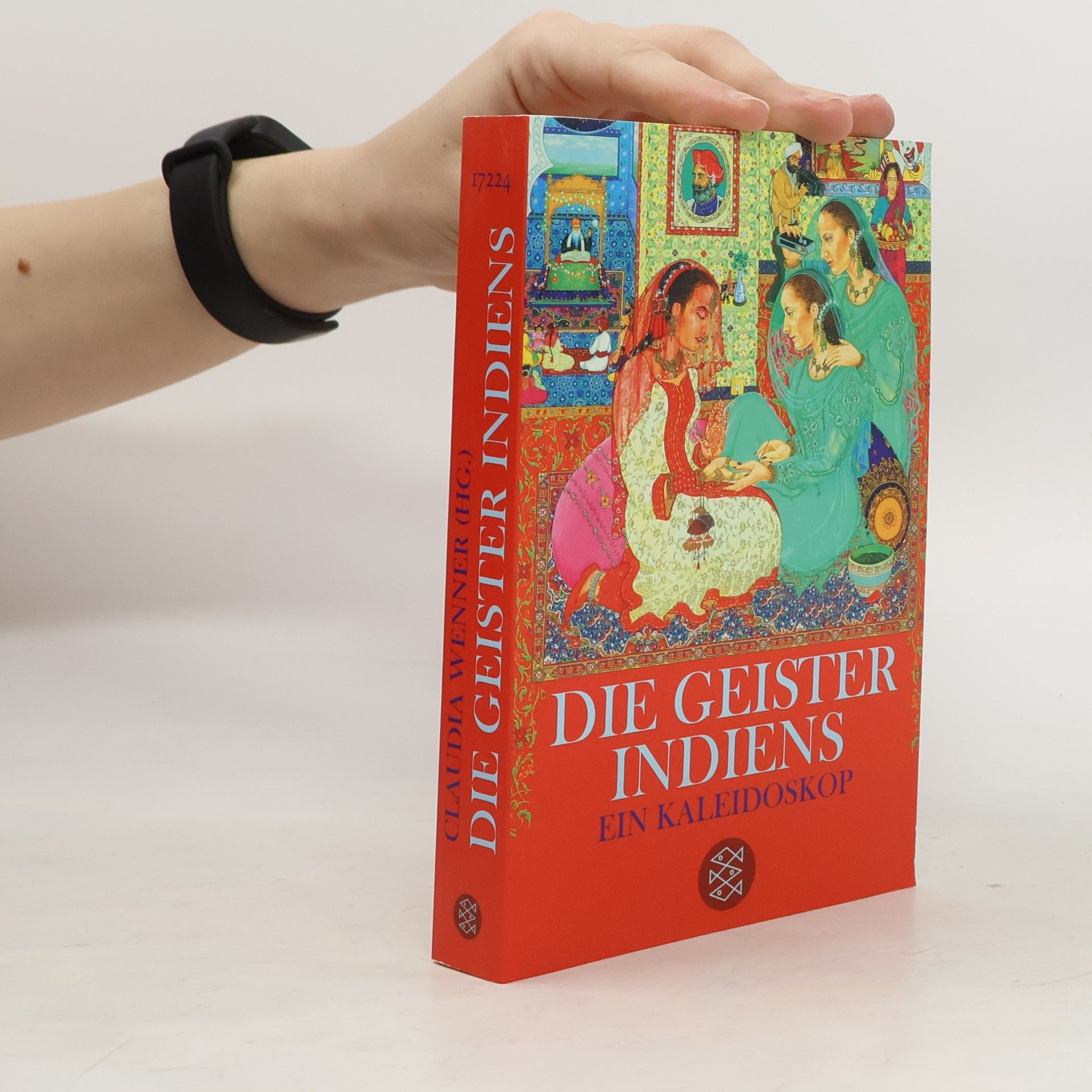 Claudia Wenner Die Geister Indiens