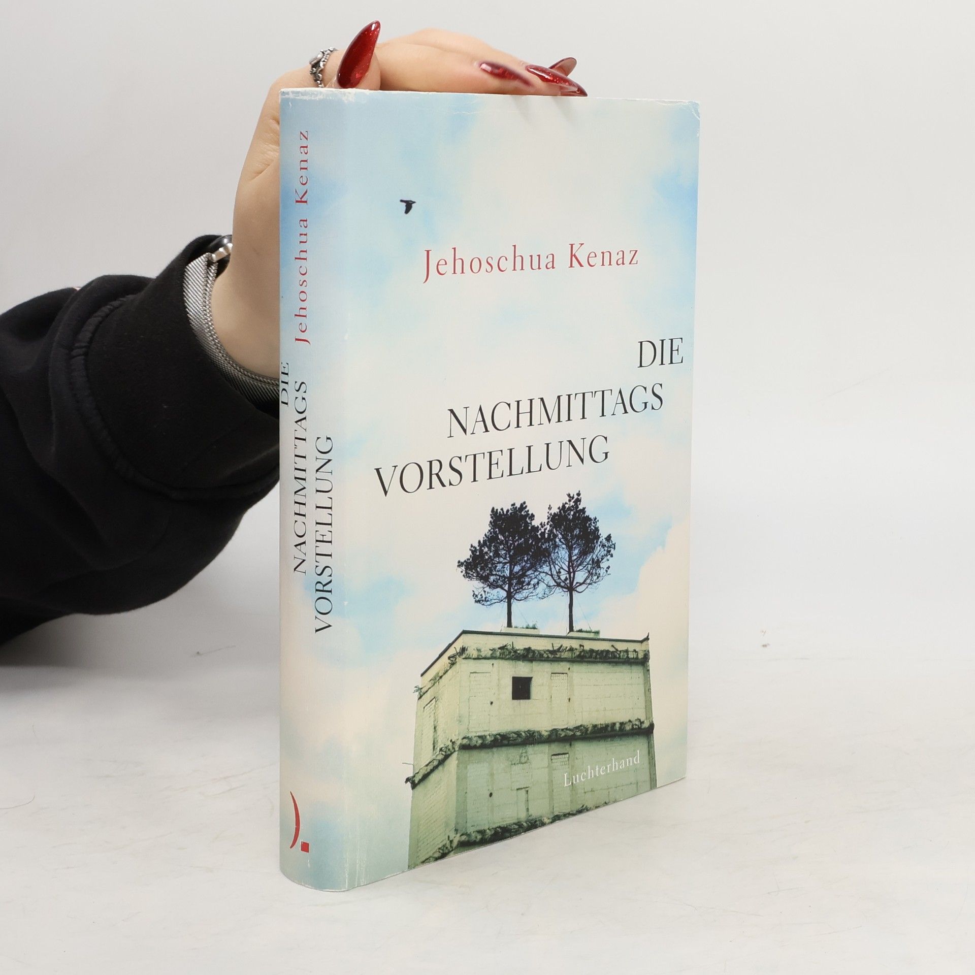Yehoshuaʿ Ḳenaz Die Nachmittagsvorstellung