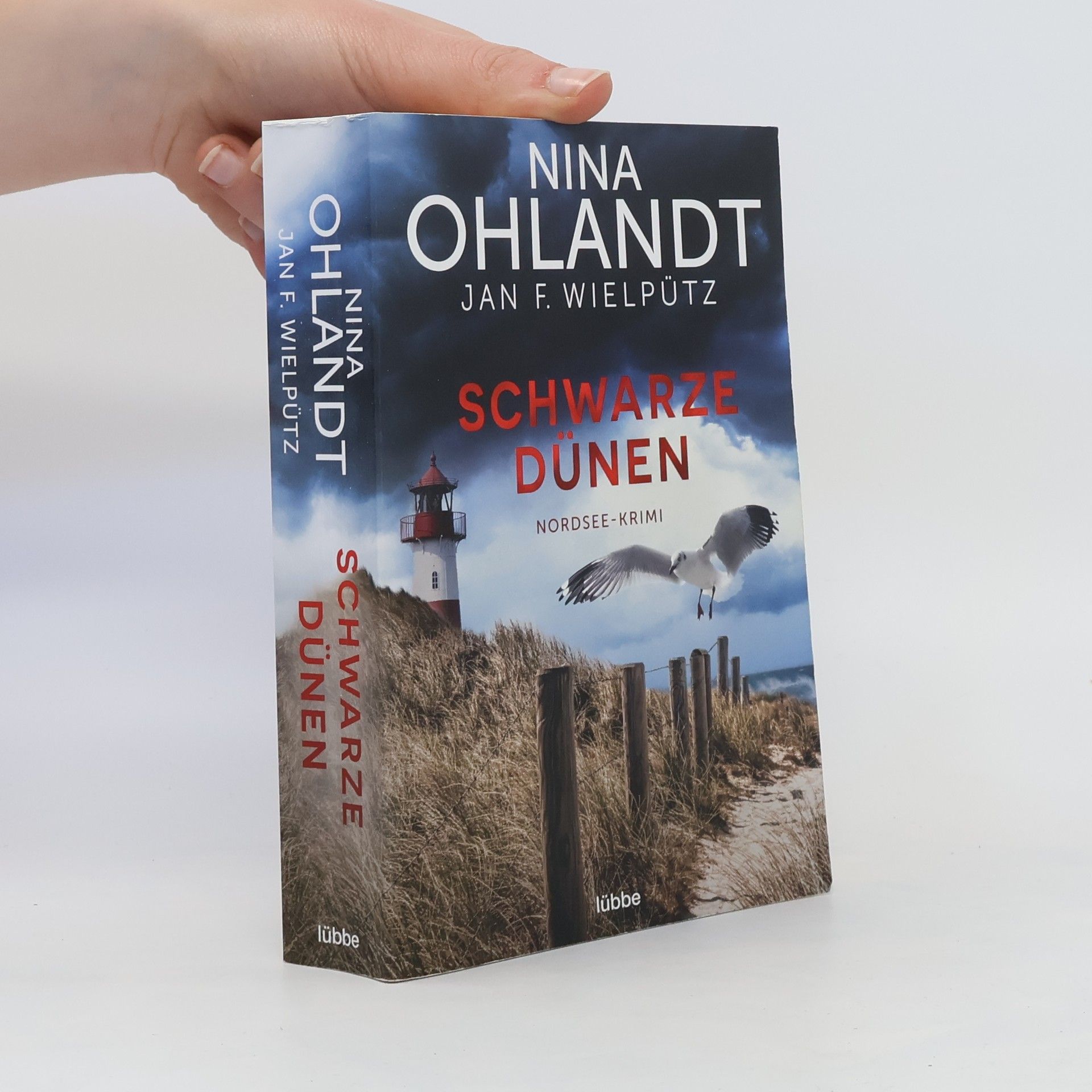 Nina Ohlandt Schwarze Dünen
