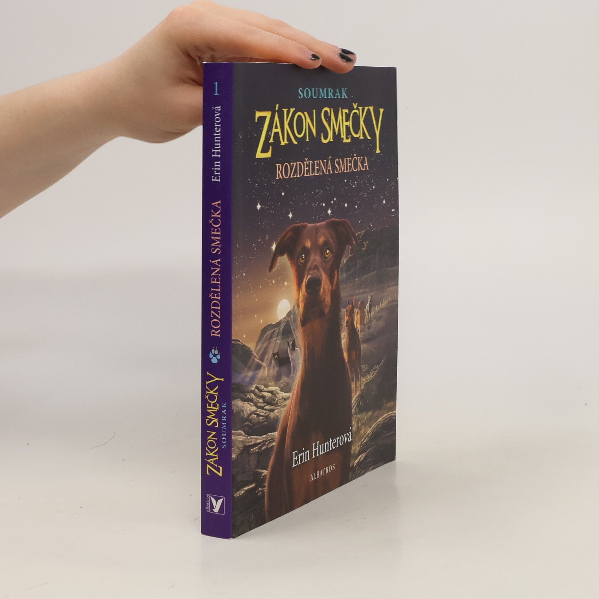 Erin Hunter Rozdělená smečka