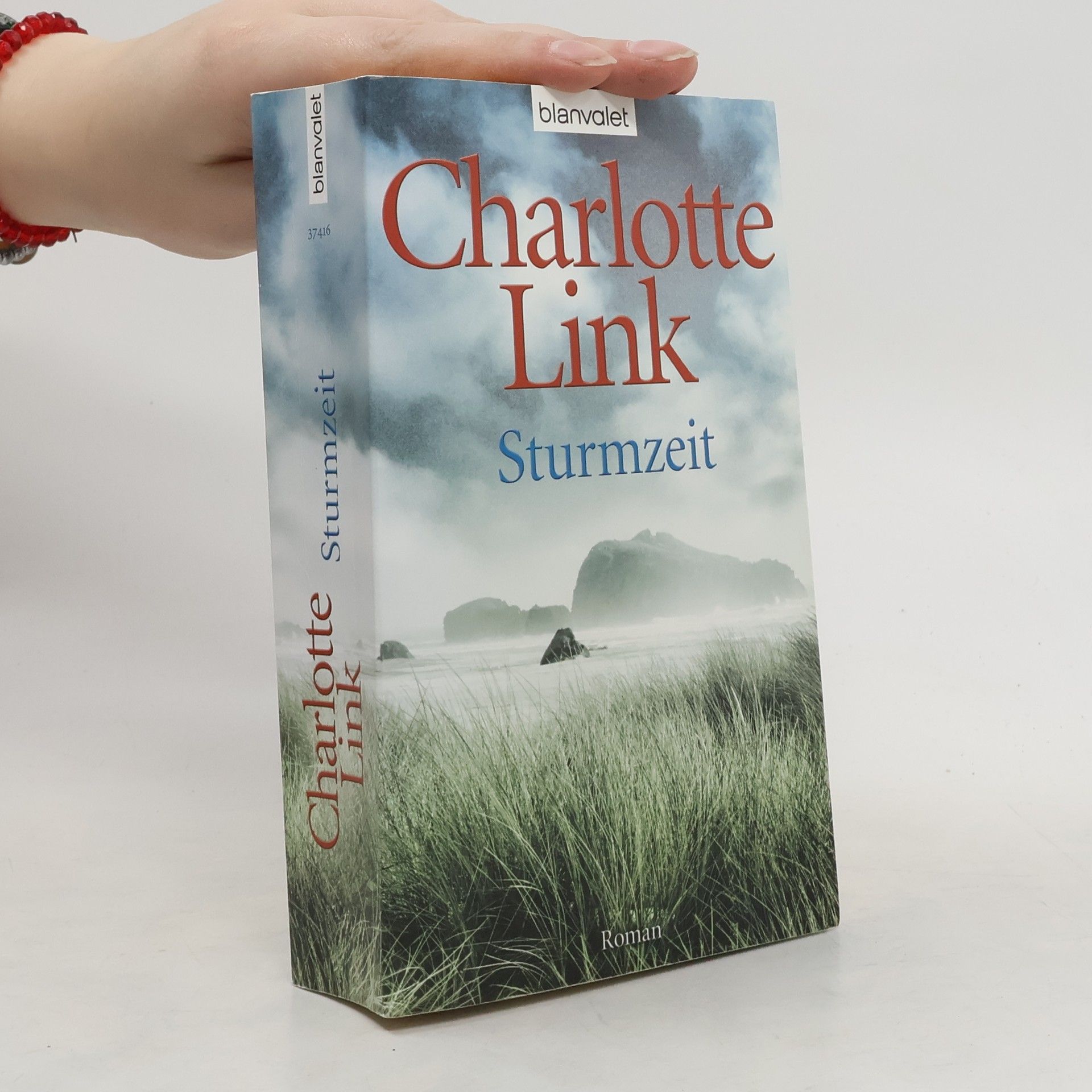 Charlotte Link Sturmzeit