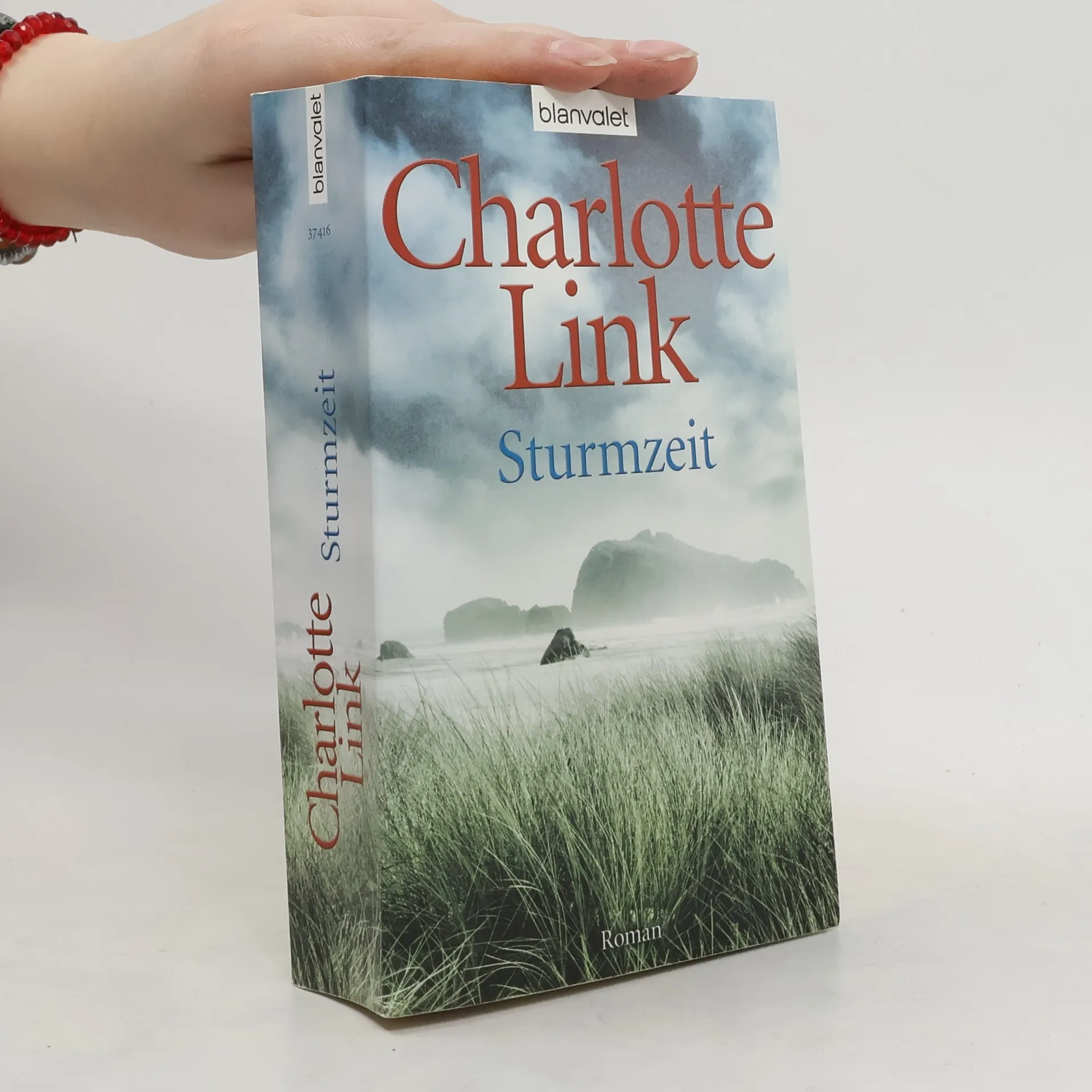 Sturmzeit | Buch | Charlotte Link